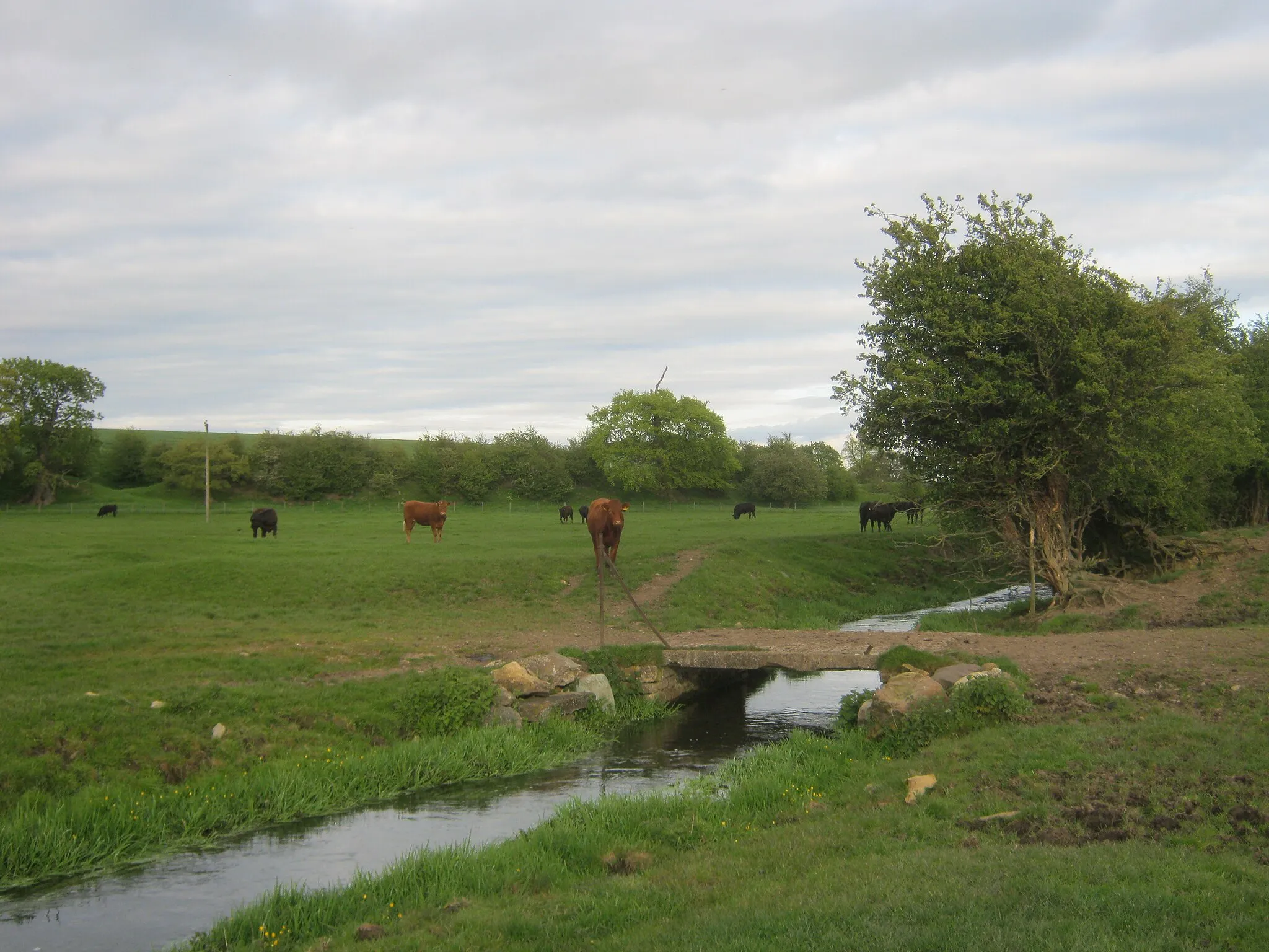 Photo showing: Farmers bridge over Mary Wild Beck