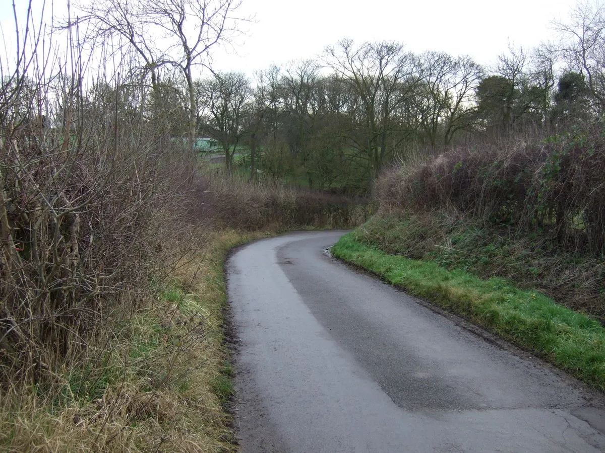 Photo showing: Bend in Coatham Lane