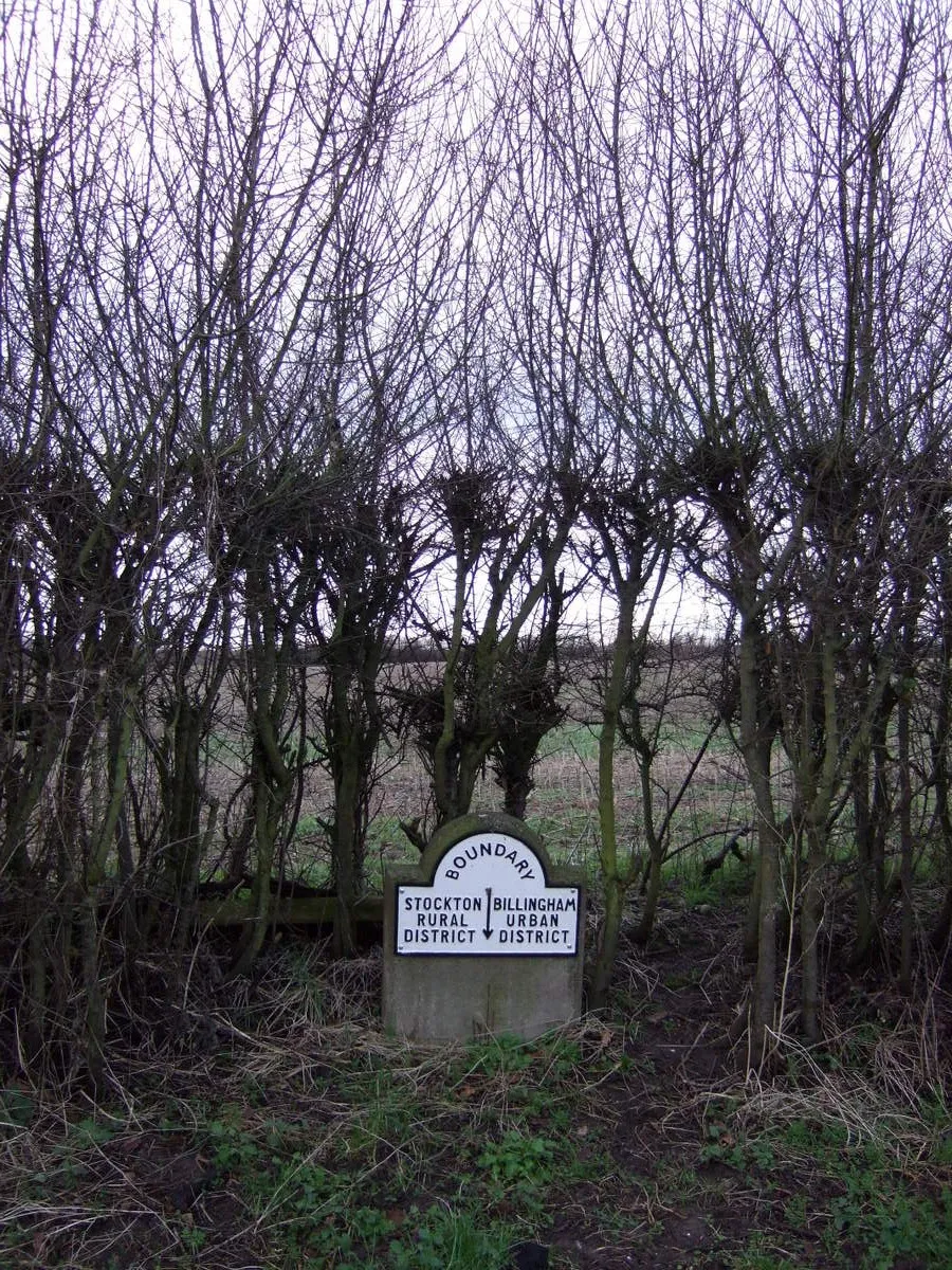 Photo showing: Boundary stone and hedgerow, Wolviston Mill Lane