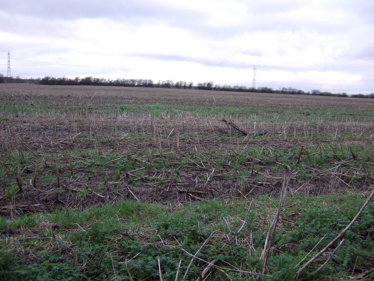 Photo showing: Farmland off Wolviston Mill Lane