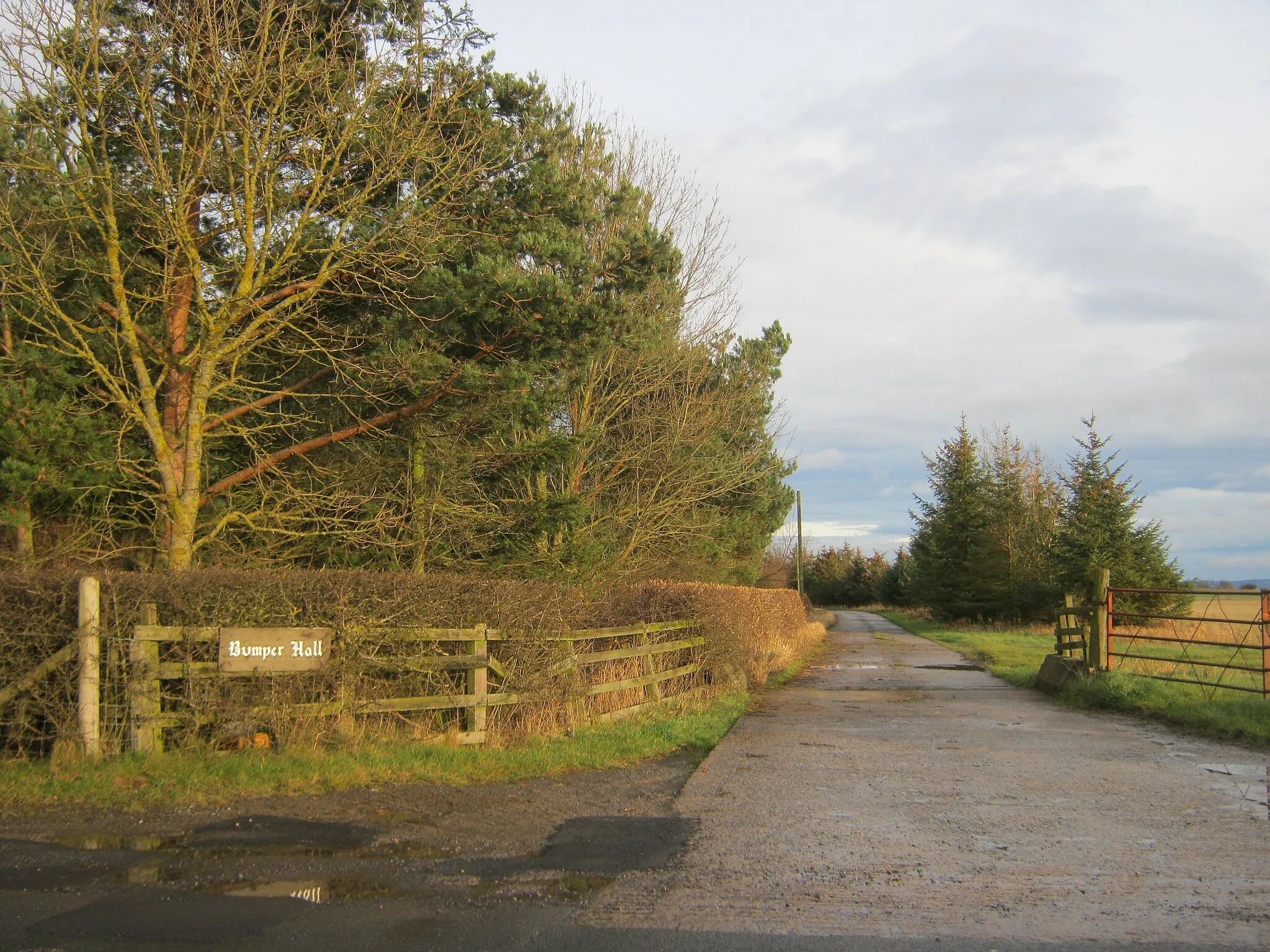 Photo showing: Drive to Bumper Hall