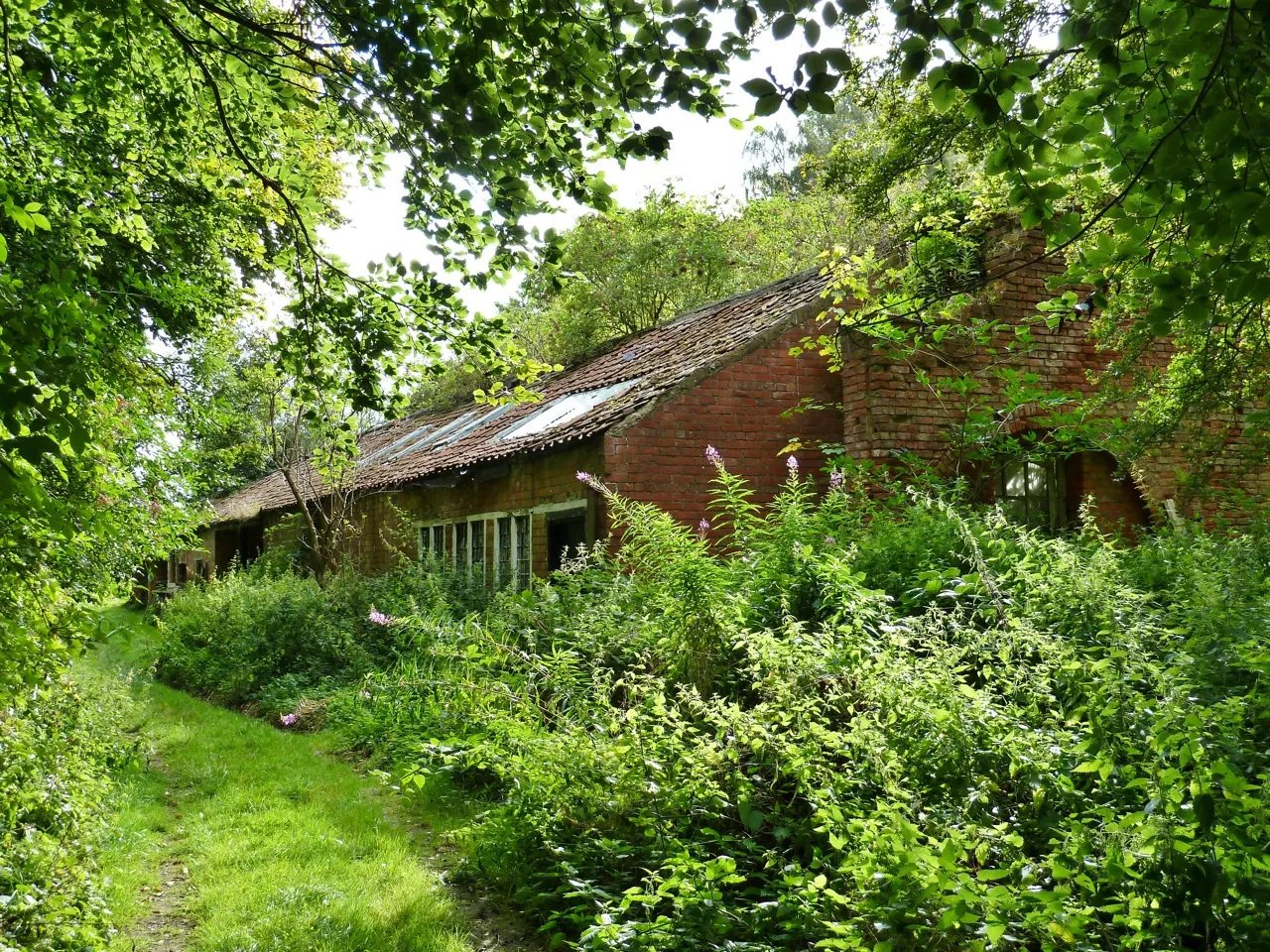 Photo showing: Derelict Barns, East Rounton