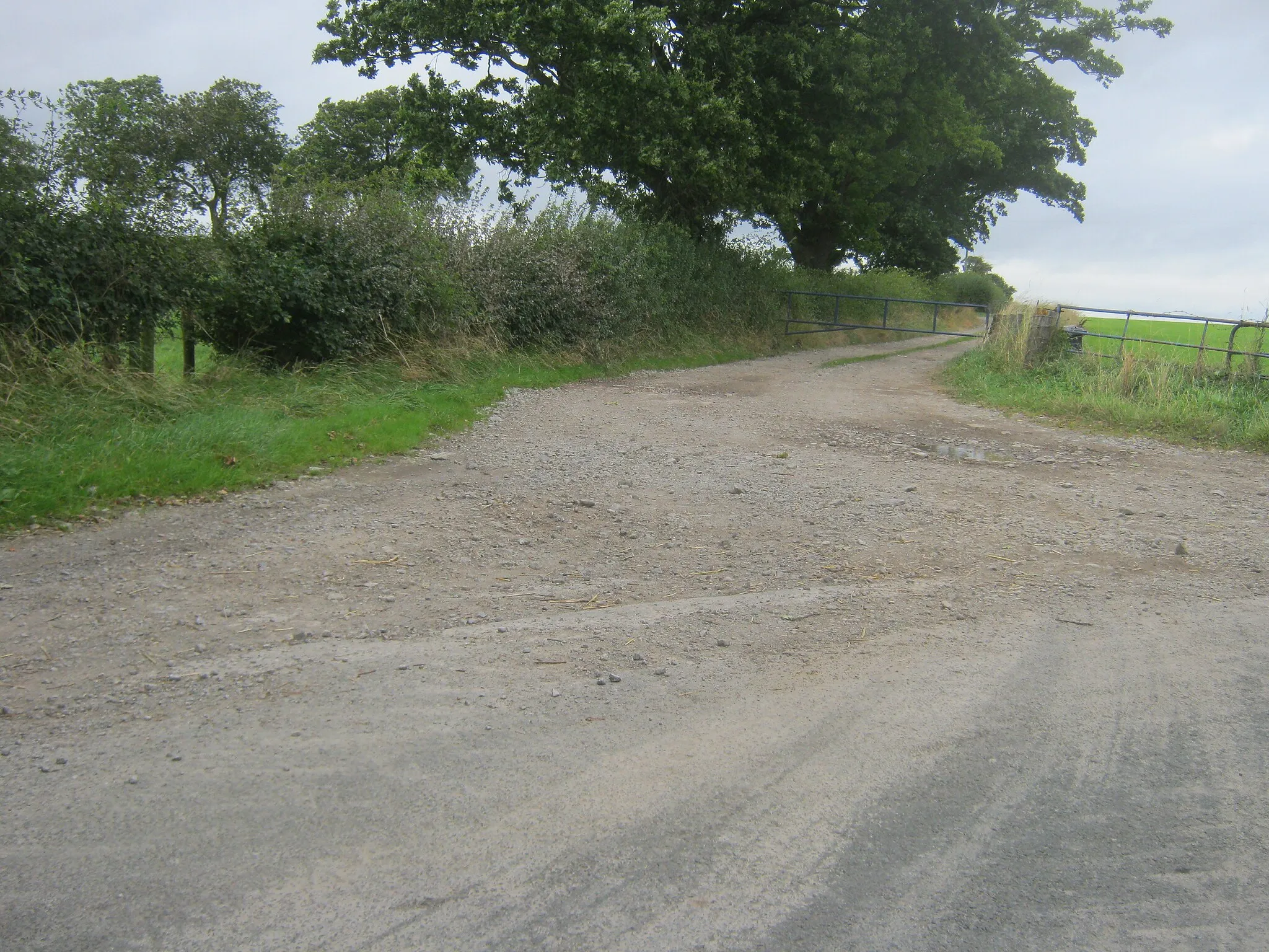 Photo showing: Access road to Grange Farm