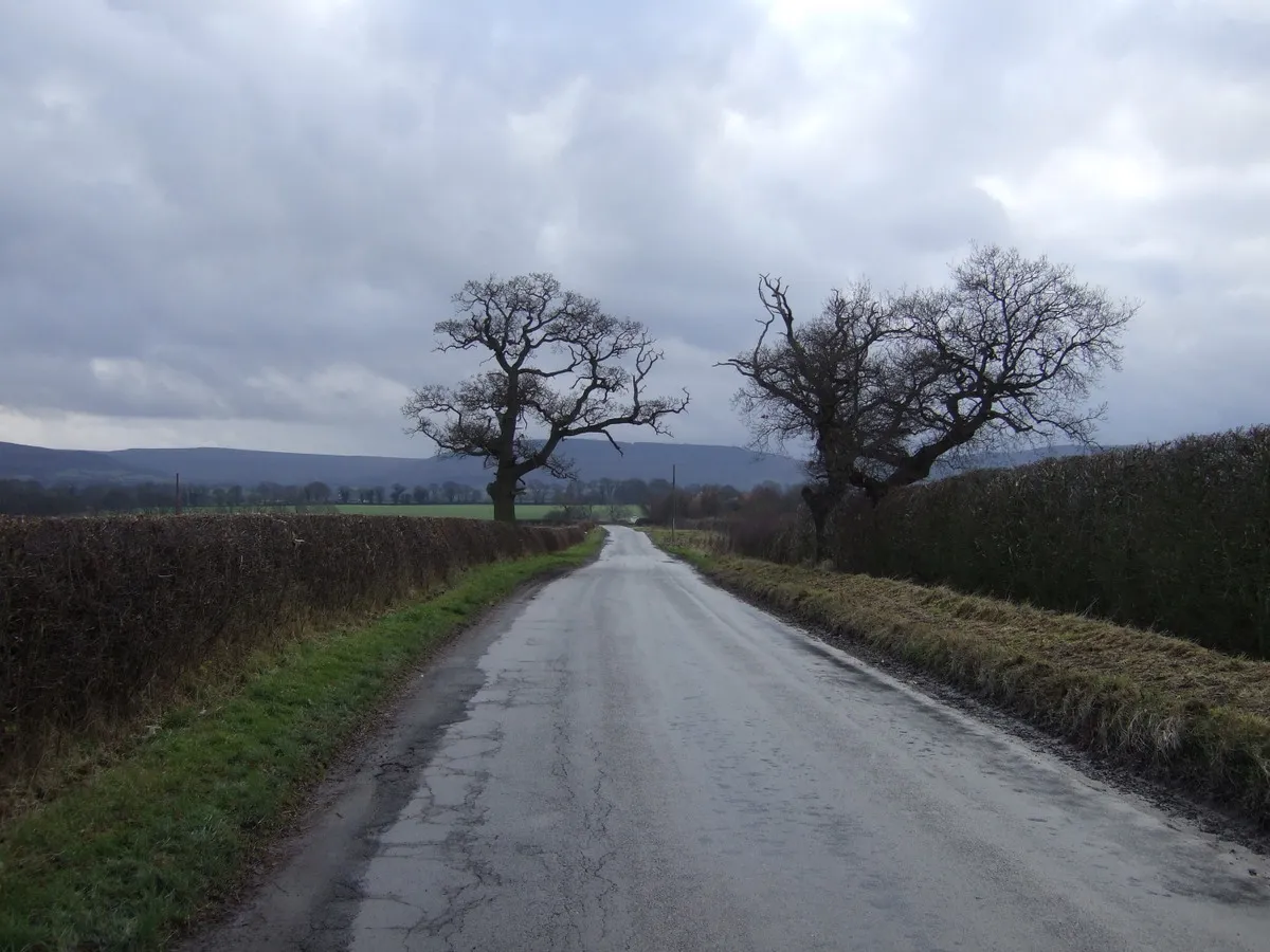 Photo showing: Black Horse Lane