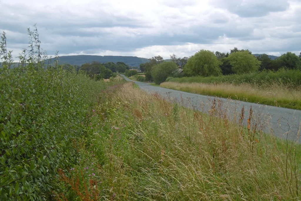 Photo showing: Black Horse Lane