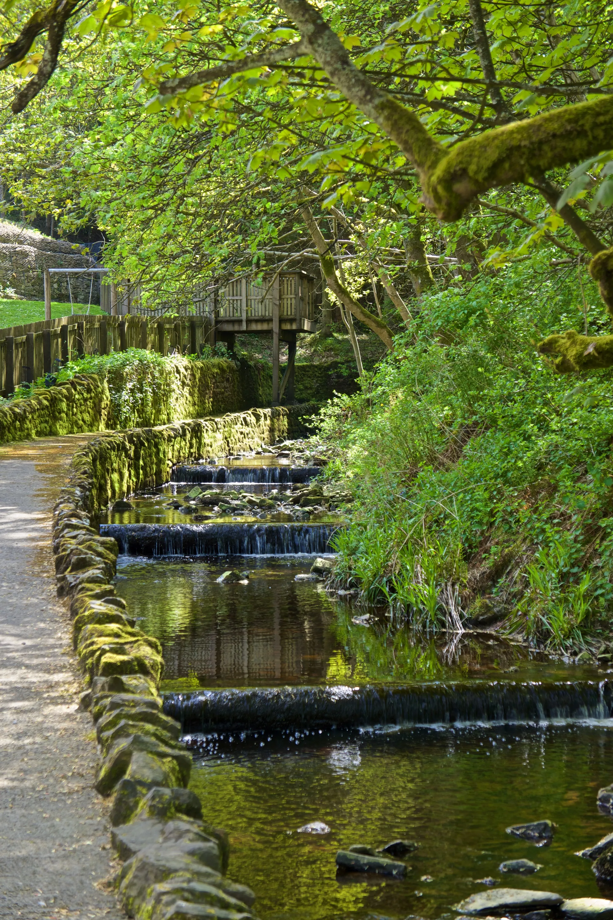 Photo showing: Weirs on River East Allen, Allenheads