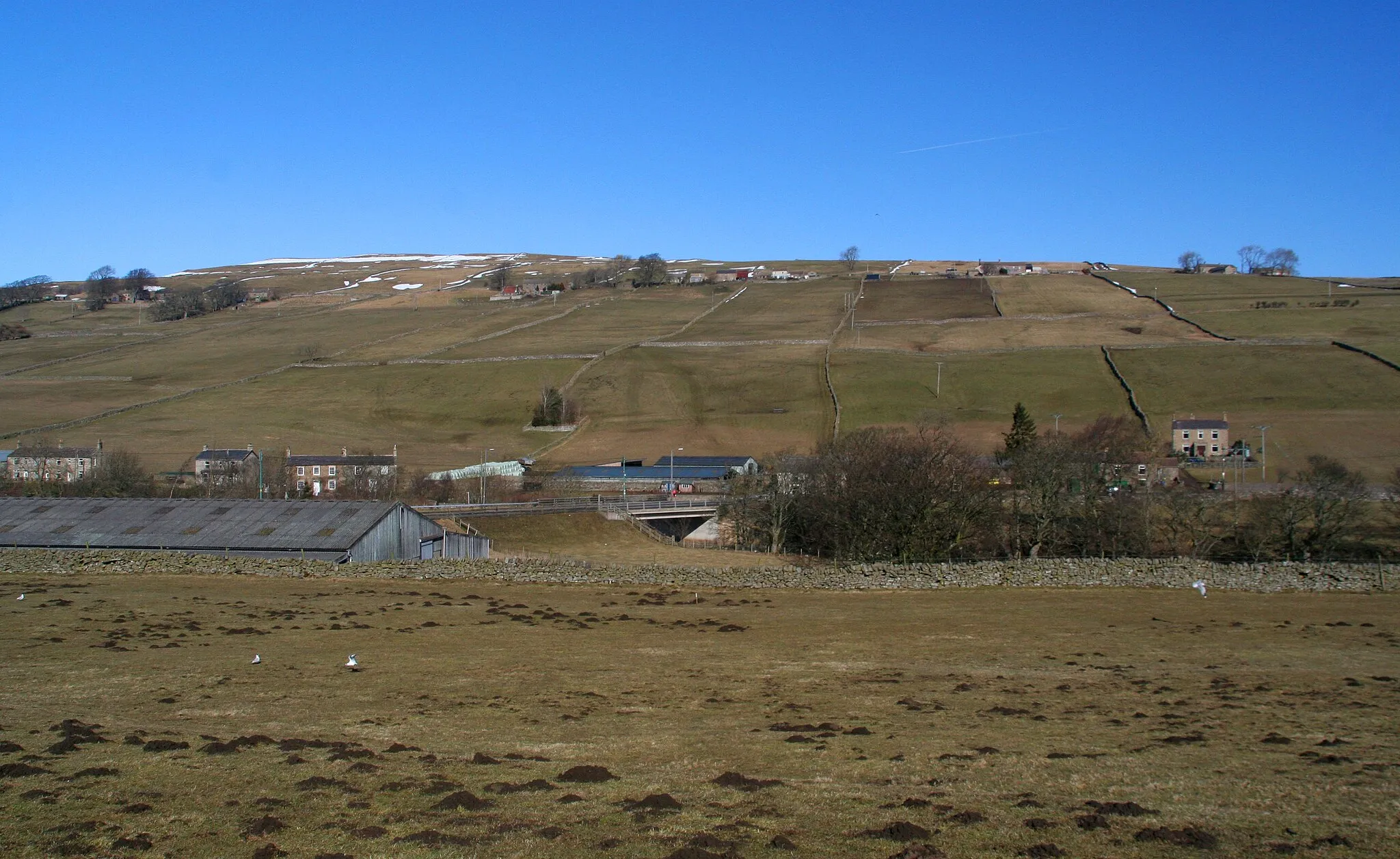 Photo showing: Daddry Shield Fields at Daddry Shields in Weardale.