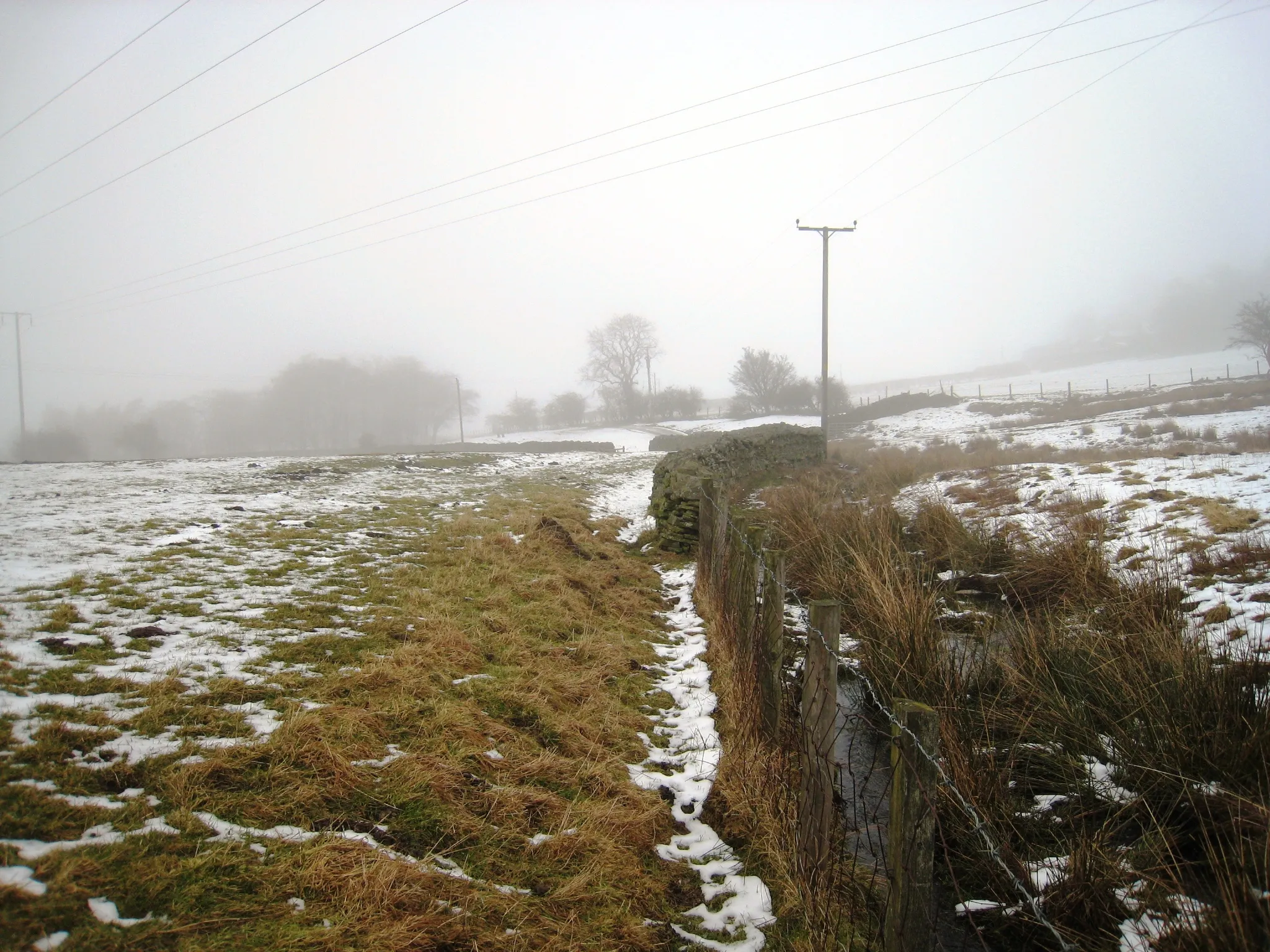 Photo showing: Boundary wall/fence and power lines This photograph shows a view of the boundary wall and power lines near the public footpath that links West Biggins and East Biggins. The picture was taken under misty conditions in late February looking in an east-north-easterly direction towards Sunniside Farm.