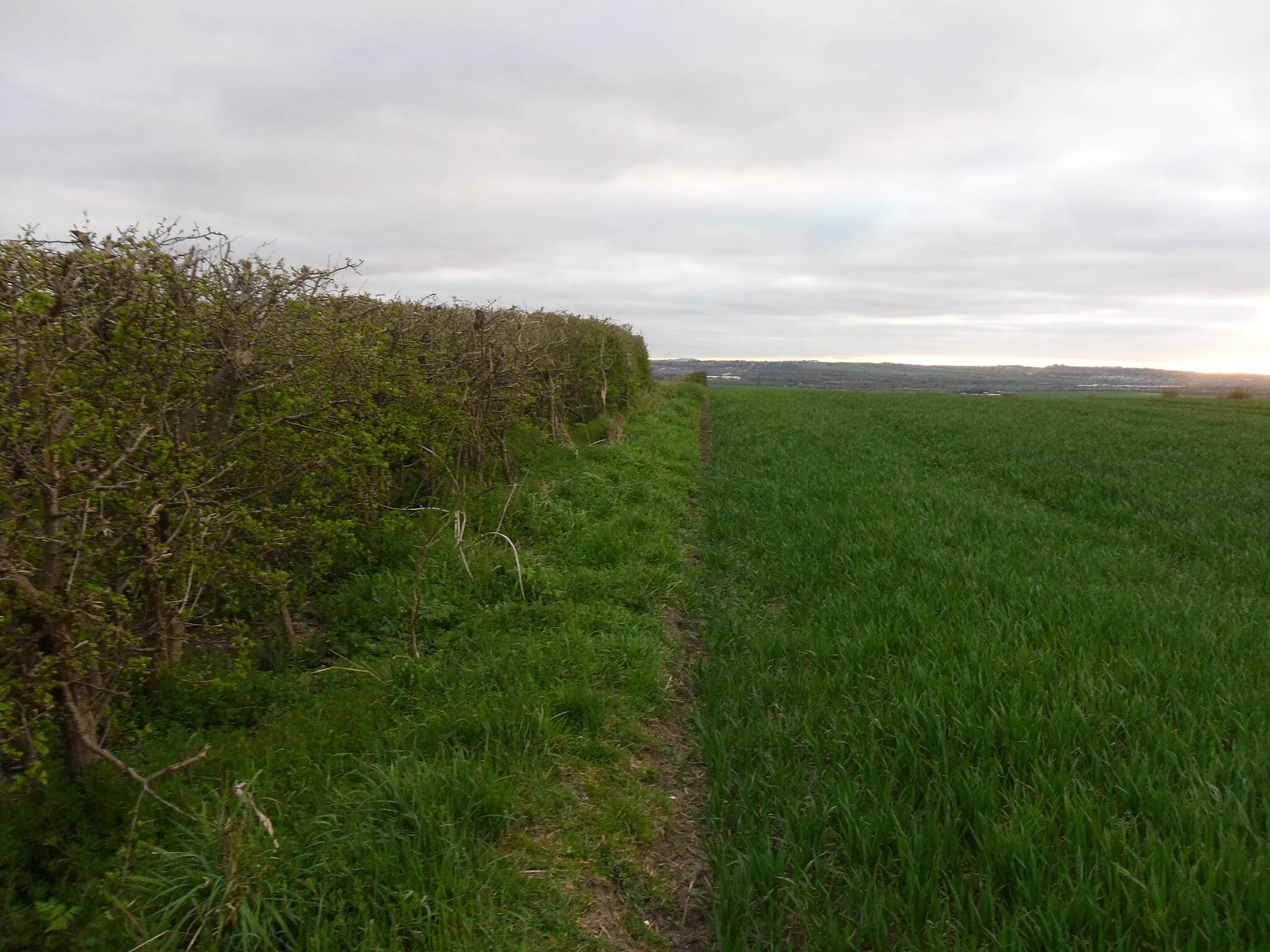 Photo showing: Boldon Hills: Approaching the summit