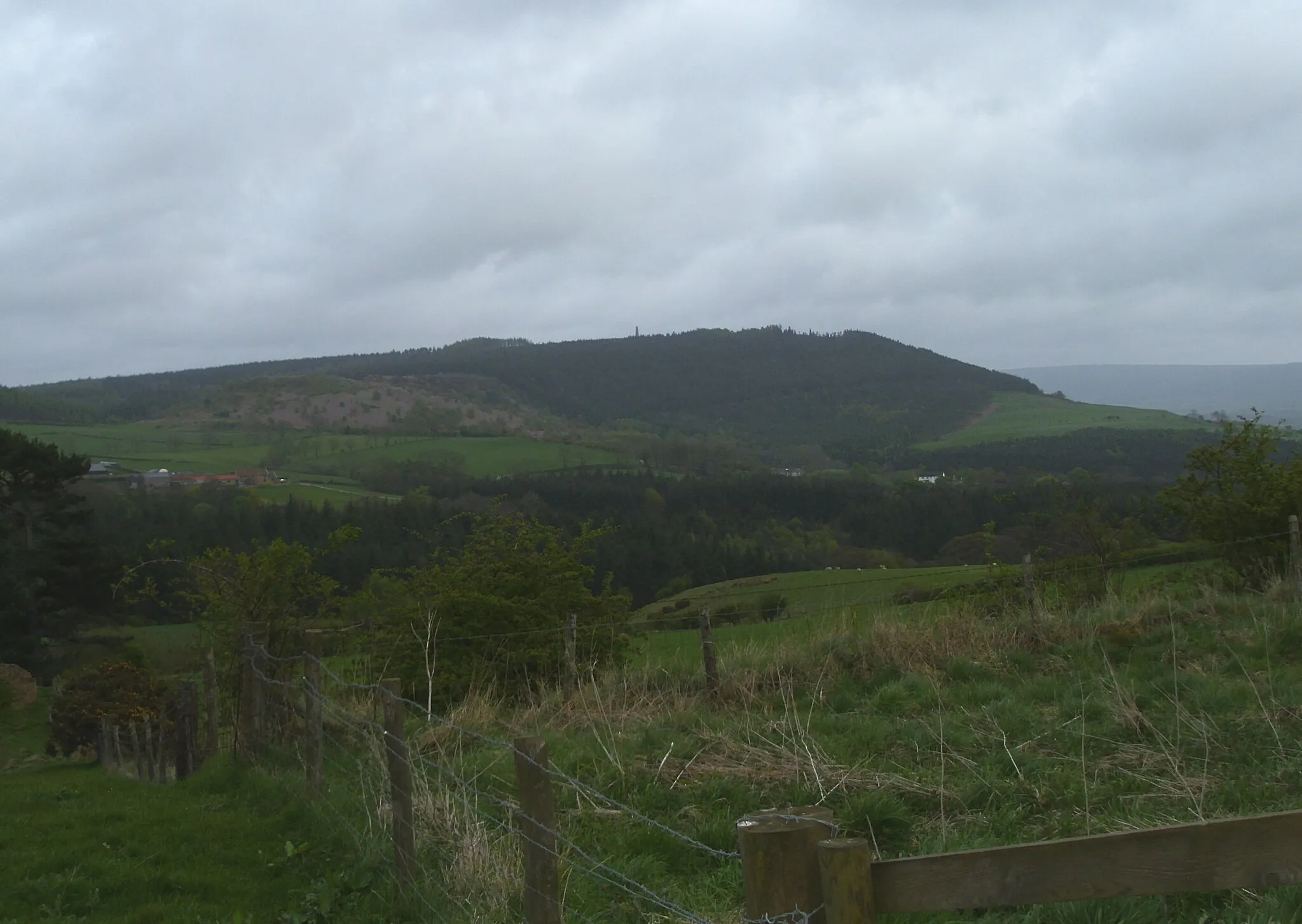 Photo showing: "Hunter's Scar" in Ayton Banks Wood