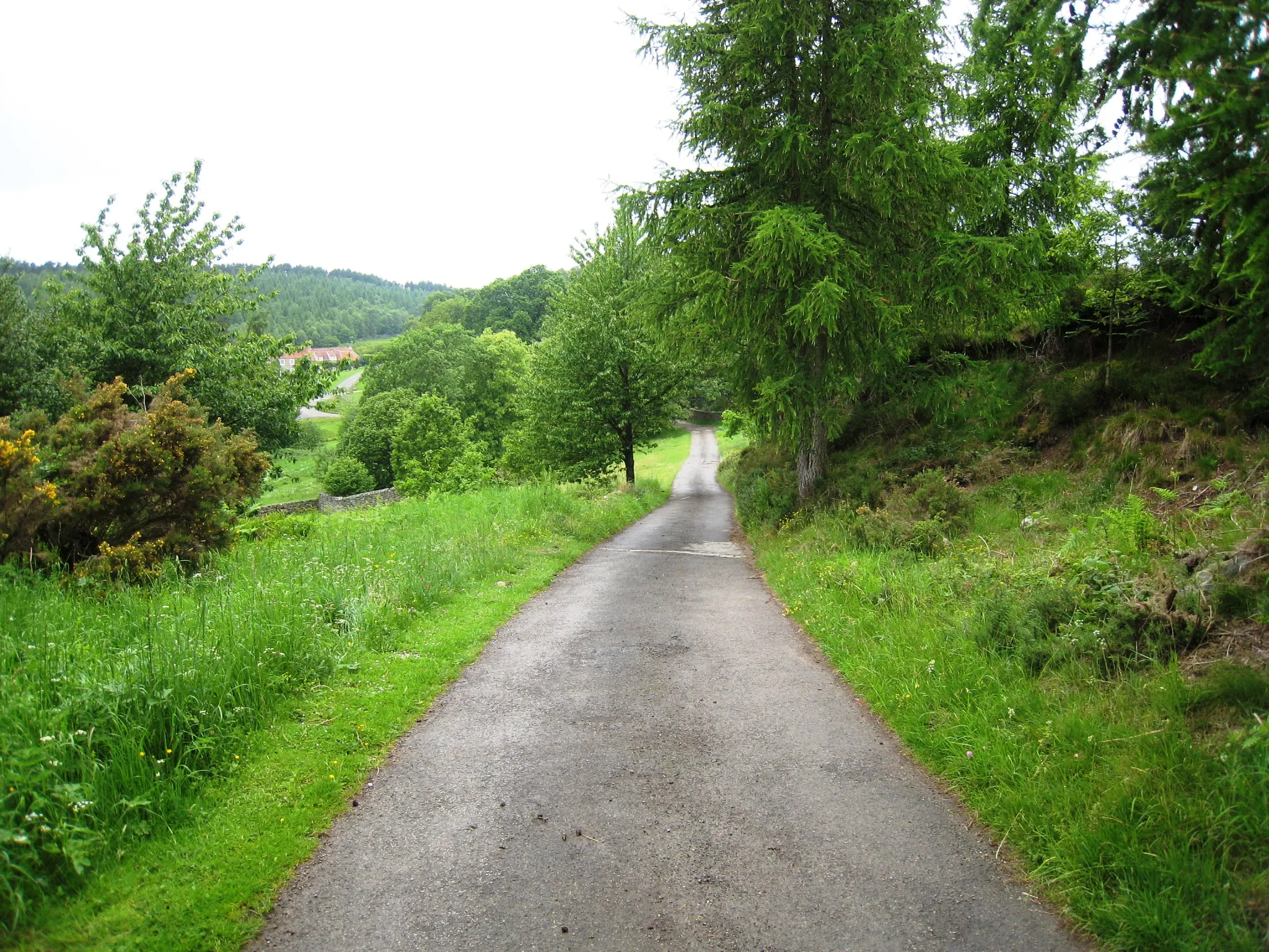 Photo showing: Access track to Penny Holme