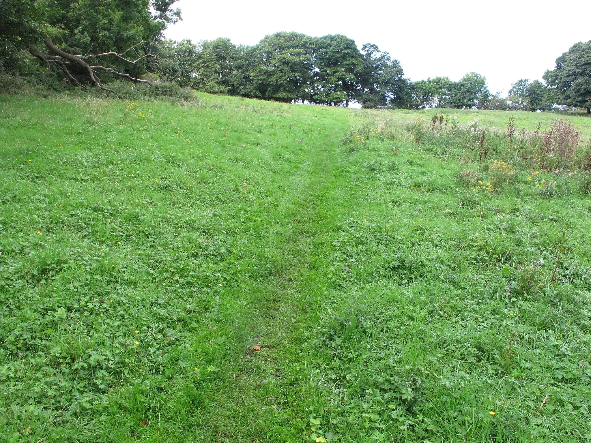 Photo showing: Public footpath across pasture, Bellasis, Durham