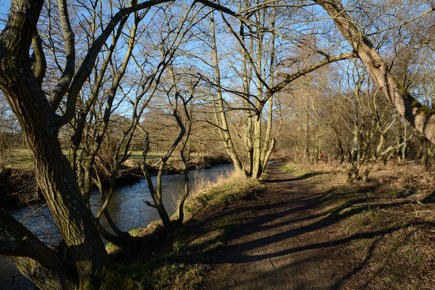 Photo showing: Path beside River Browney