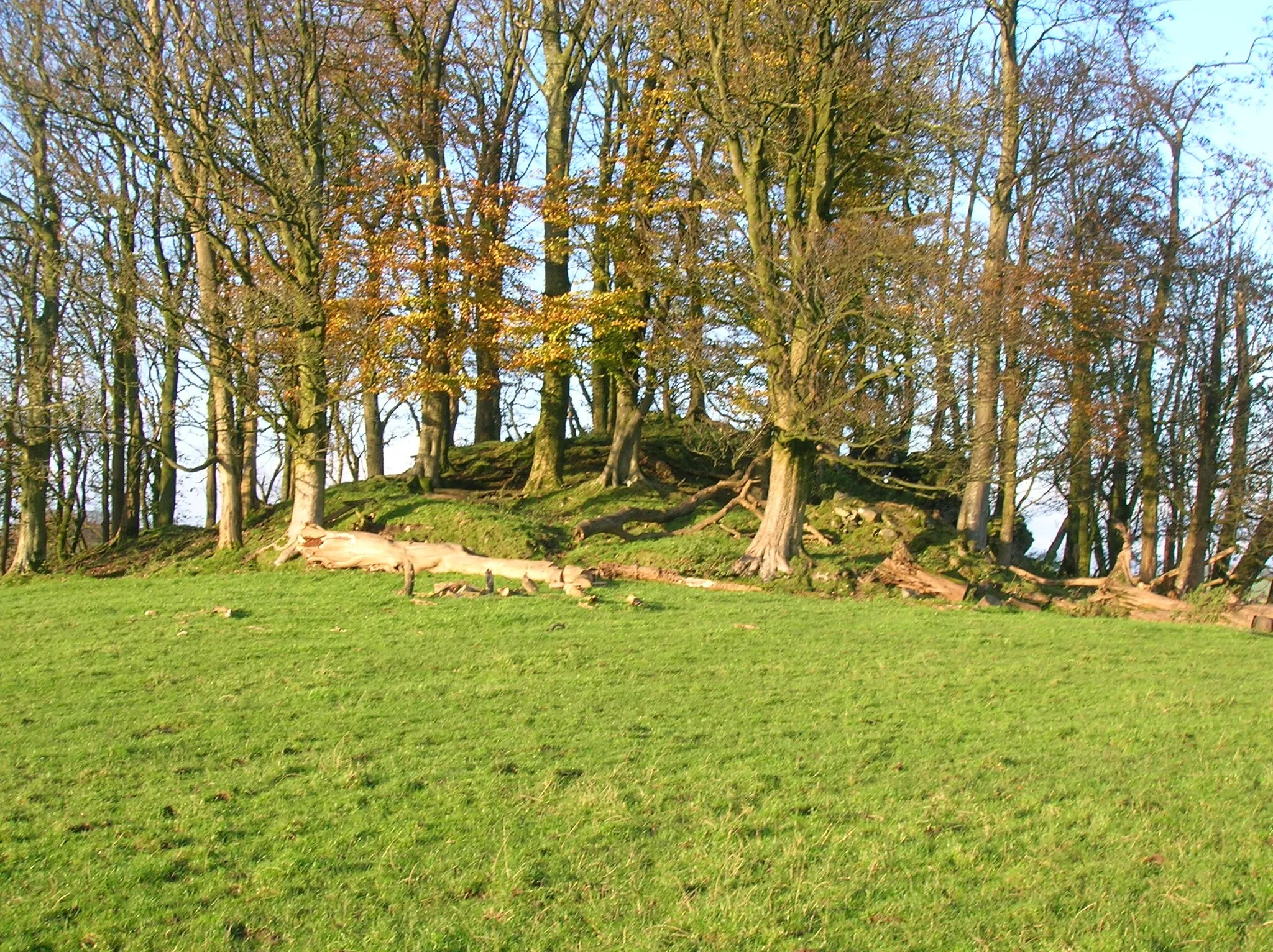 Photo showing: Polnoon Castle ruins at Eaglesham, East Renfrewshire, Scotland.