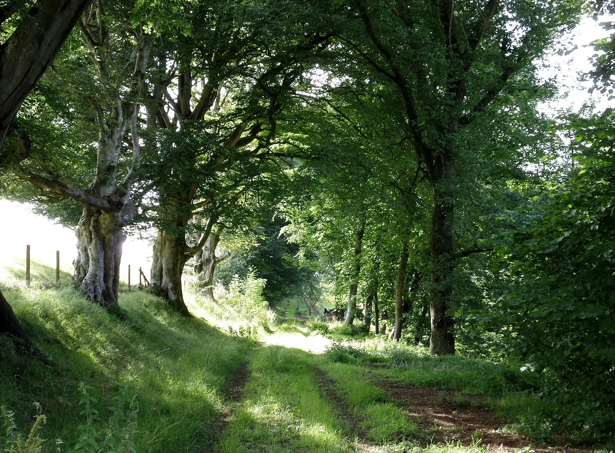 Photo showing: Auchenbay to Slatehole Ford road, Ochiltree, East Ayrshire, Scotland. Close to Peden's Cave.