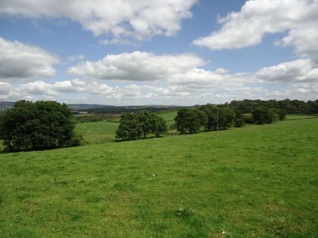 Photo showing: Annathill, field boundary