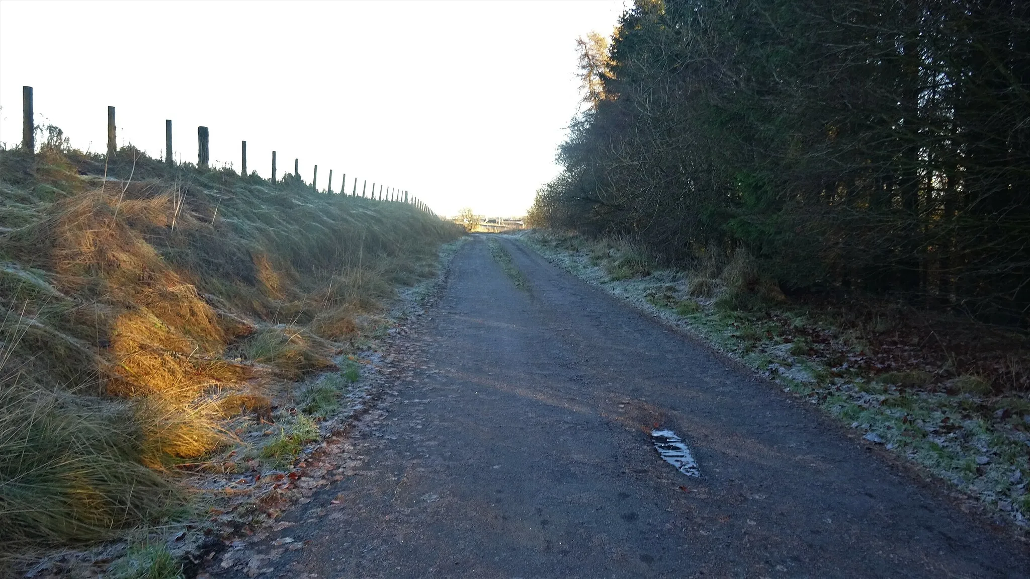 Photo showing: Calder Bridge. Old access road. Caldermill. South Lanarkshire. View east.