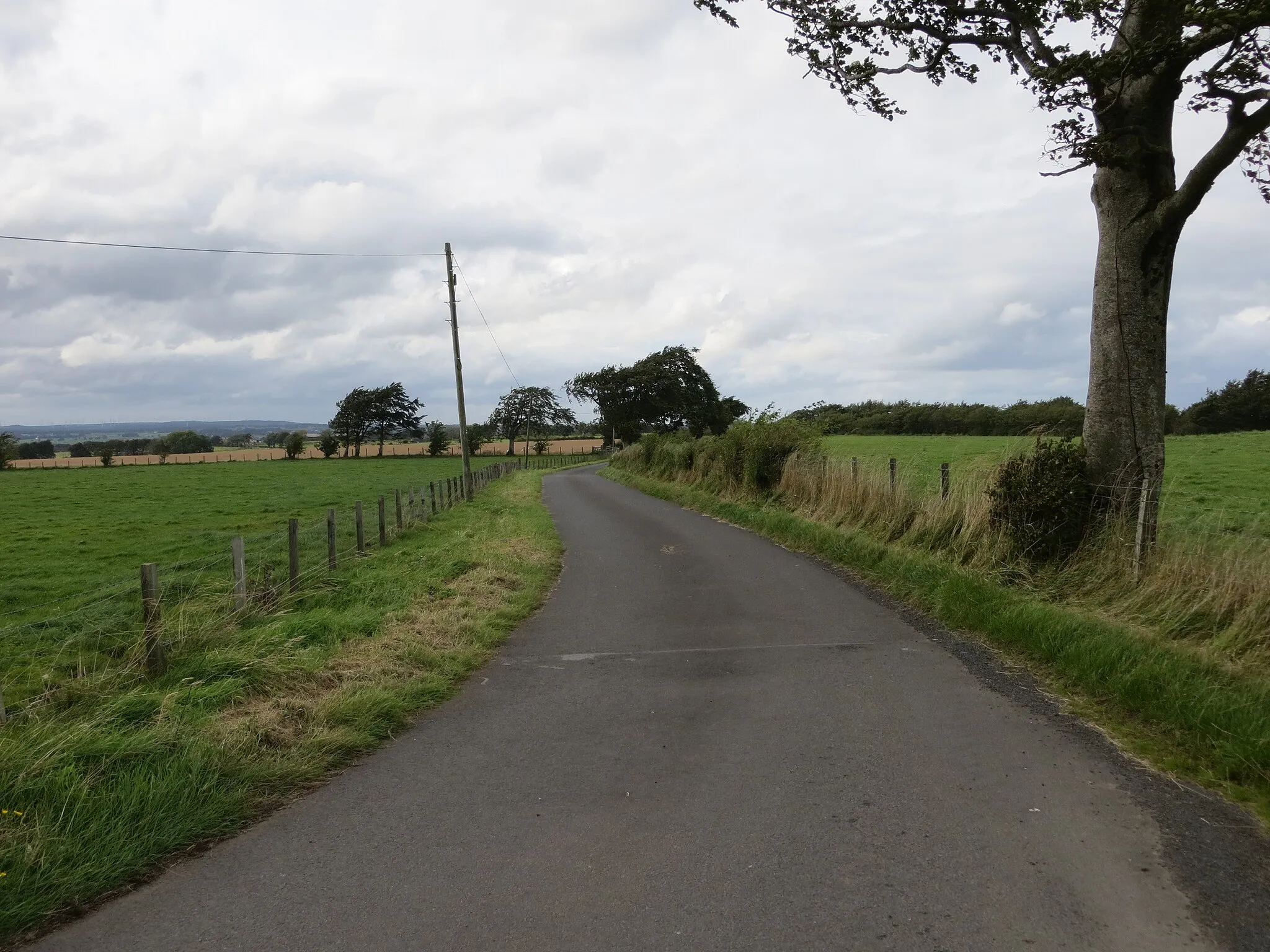 Photo showing: Road at Greer Hill