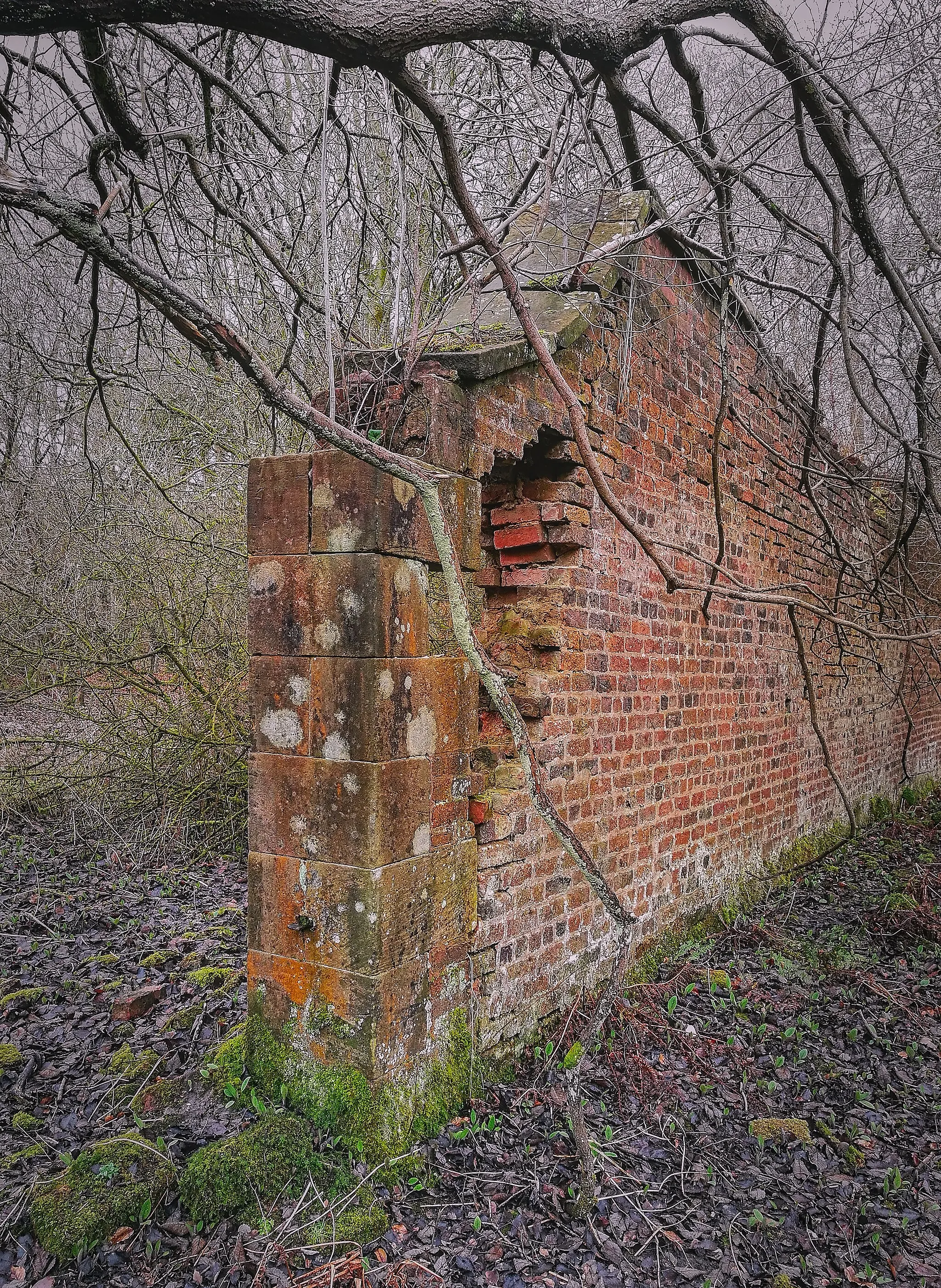 Photo showing: This is a photo of listed building number