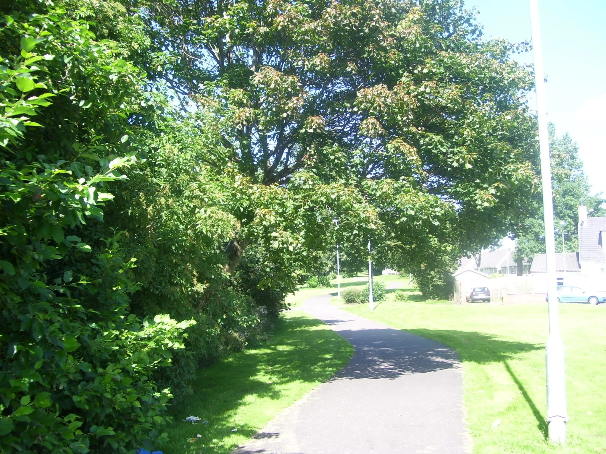 Photo showing: Greenlink Cycleway Motherwell area