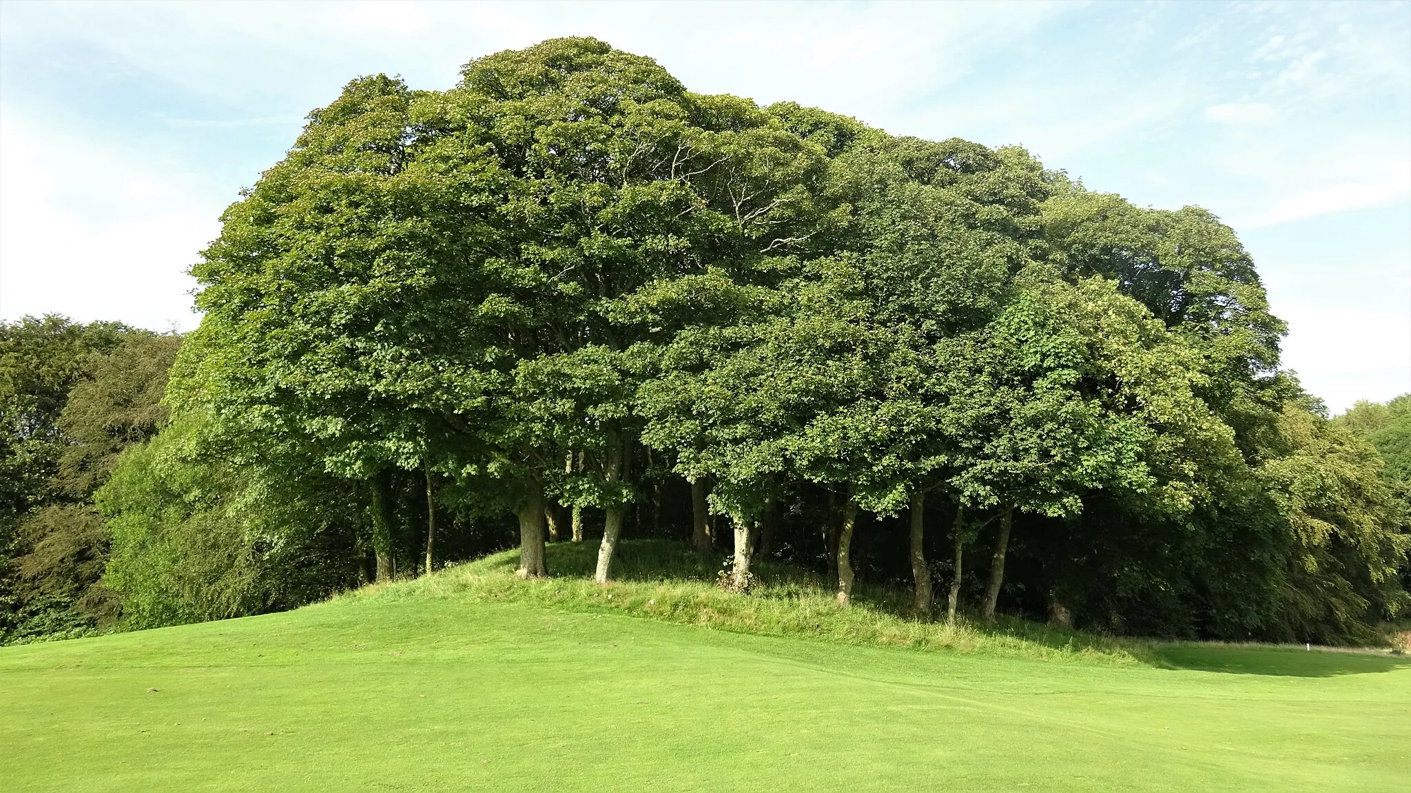 Photo showing: The Castle or Motte Hill, Caprington, East Ayrshire, Scotland. View from the south.