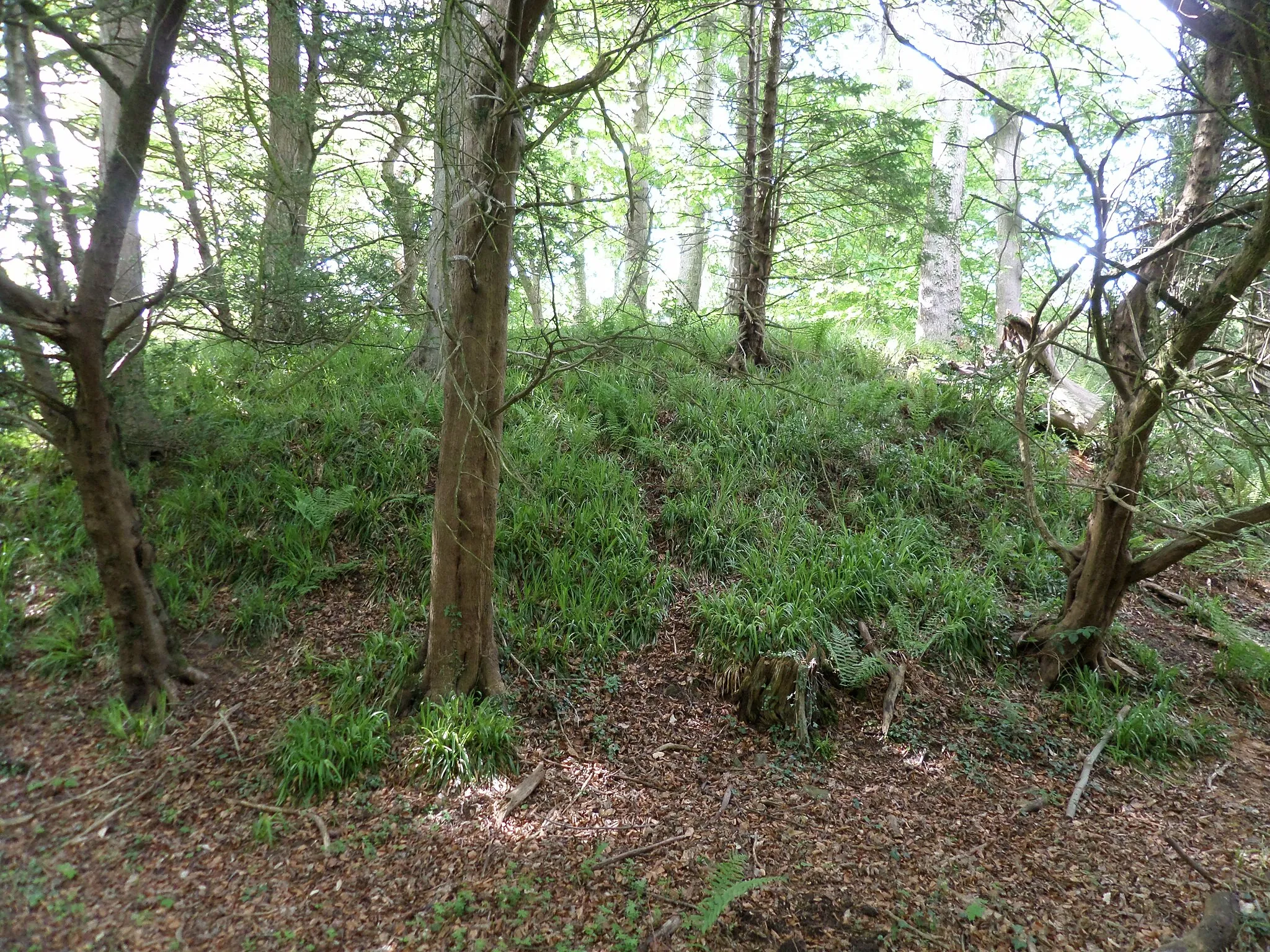 Photo showing: Alloway Motte and Court Hill, Ayr, South Ayrshire, Scotland. Located at the entrance to the private Doonholm Estate.