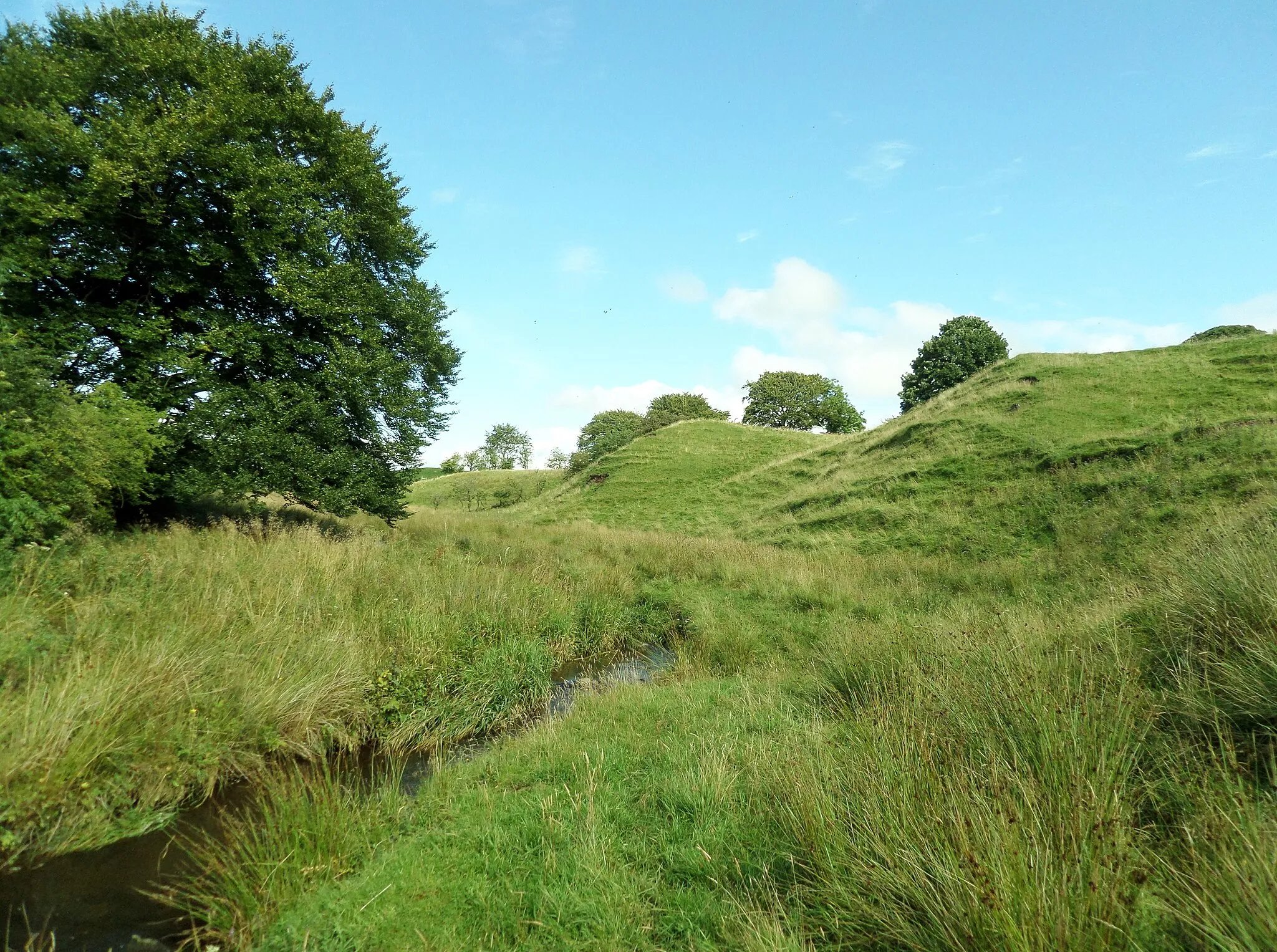 Photo showing: The view up the Black Burn below Brandleside, Dunlop, East Ayrshire, Scotland