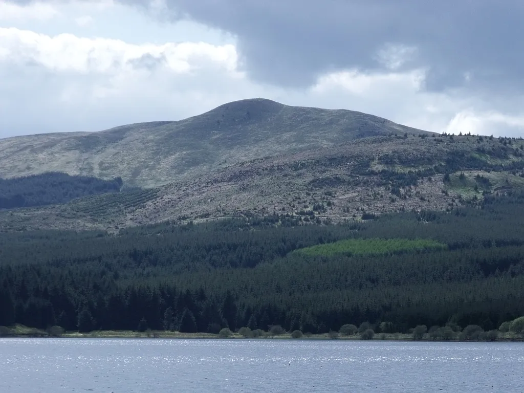 Photo showing: South shore of Carron Reservoir