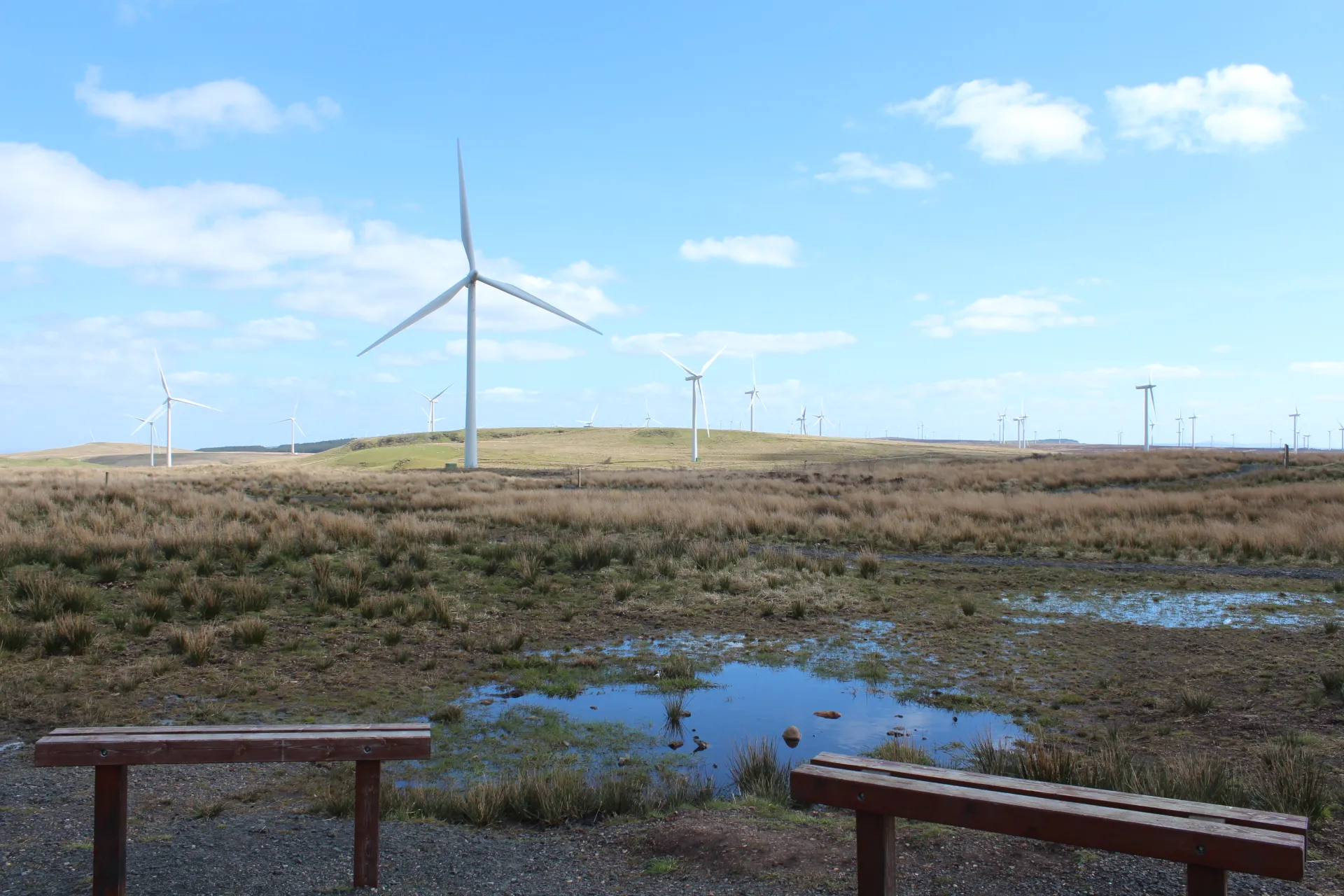 Photo showing: Whitelee Windfarm