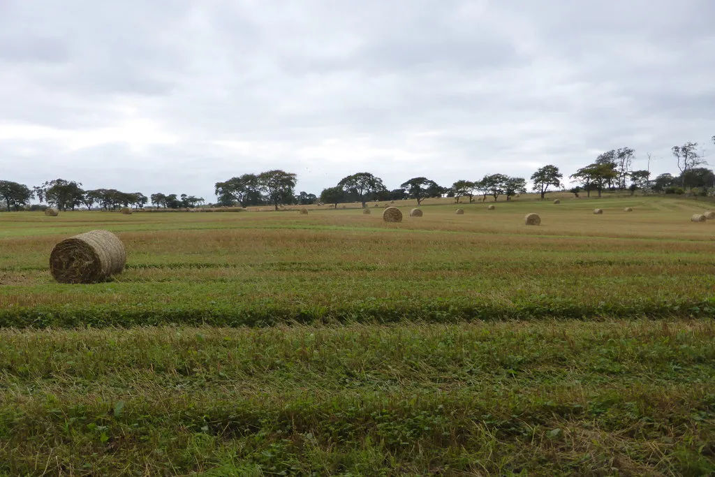 Photo showing: Harvested Fields