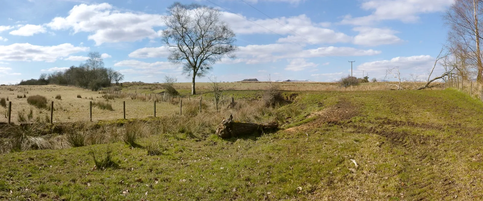 Photo showing: Course of dismantled railway line