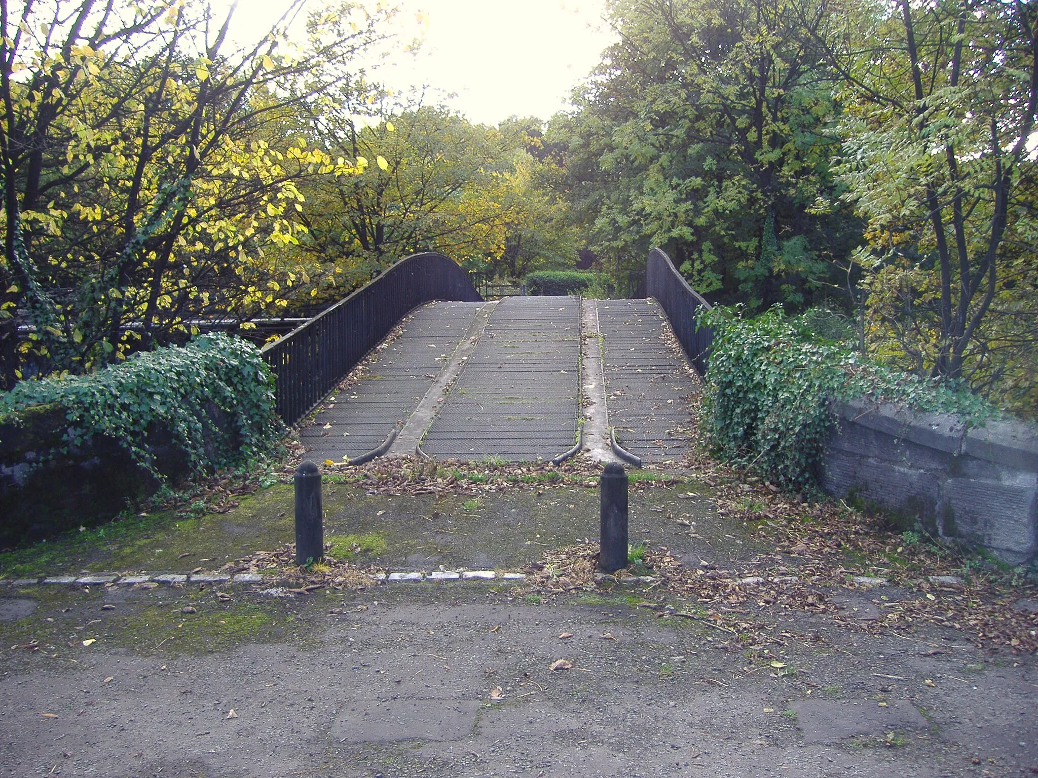 Photo showing: Cambus Iron Bridge