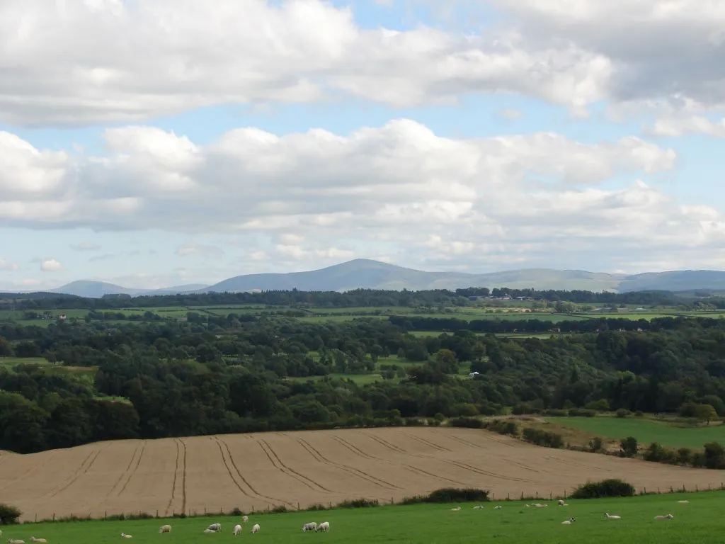 Photo showing: View from Law Hill