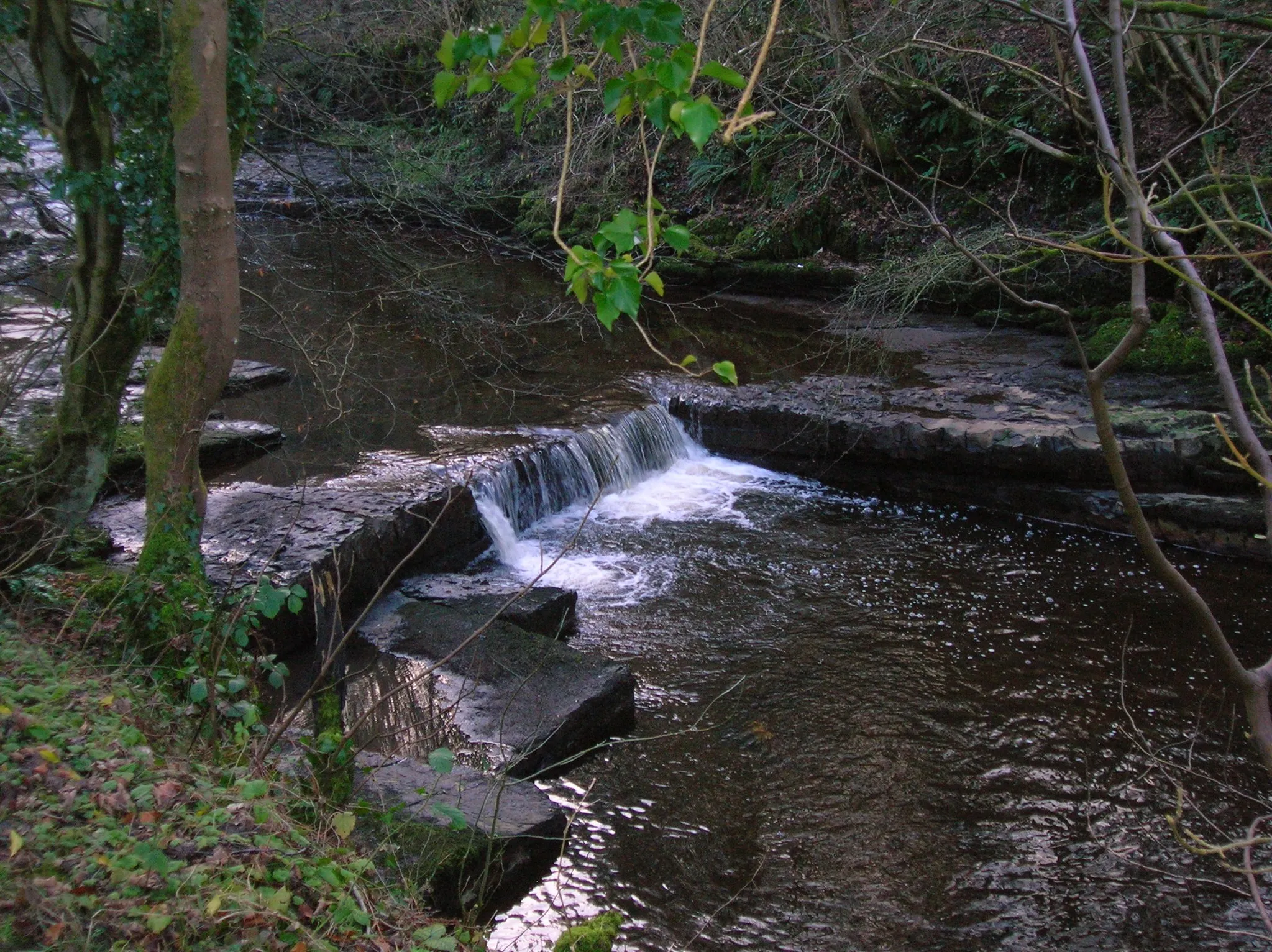 Photo showing: The Caaf Water in Linn Glen, Dalry, North Ayrshire, Scotland.