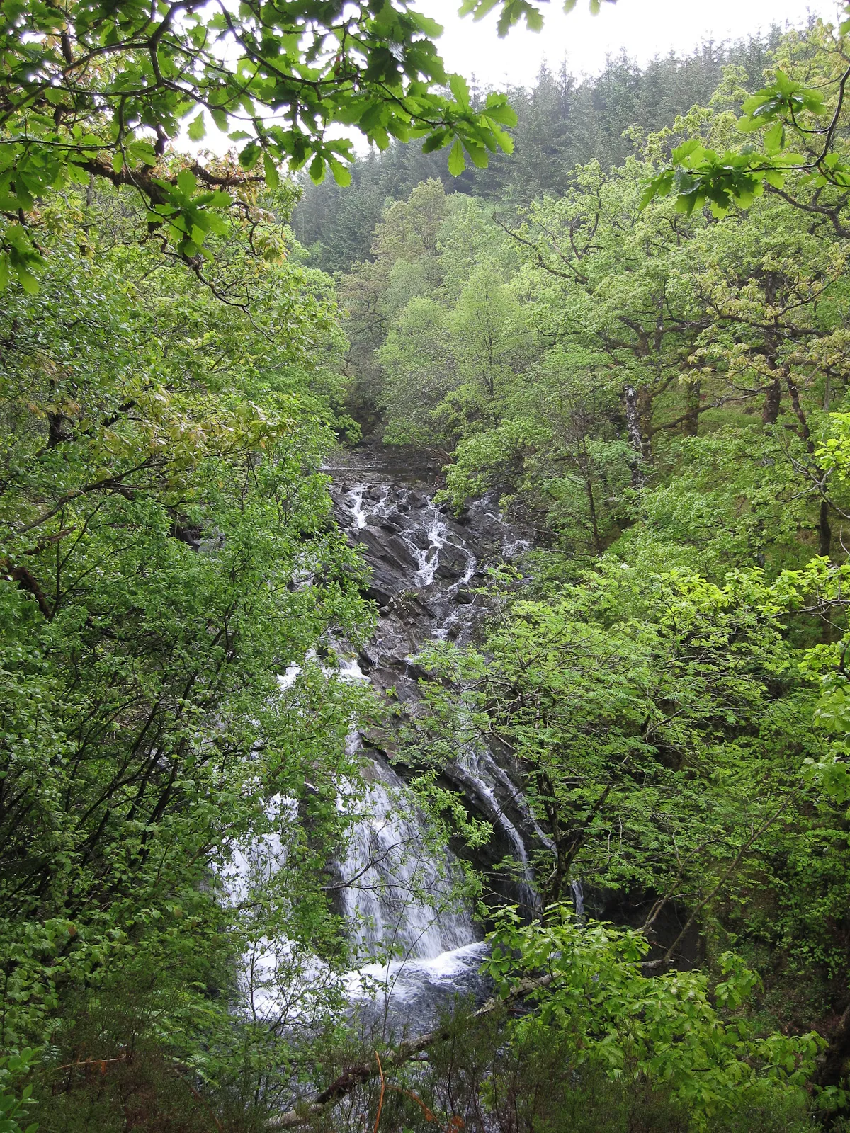 Photo showing: Waterfall on River Lochy