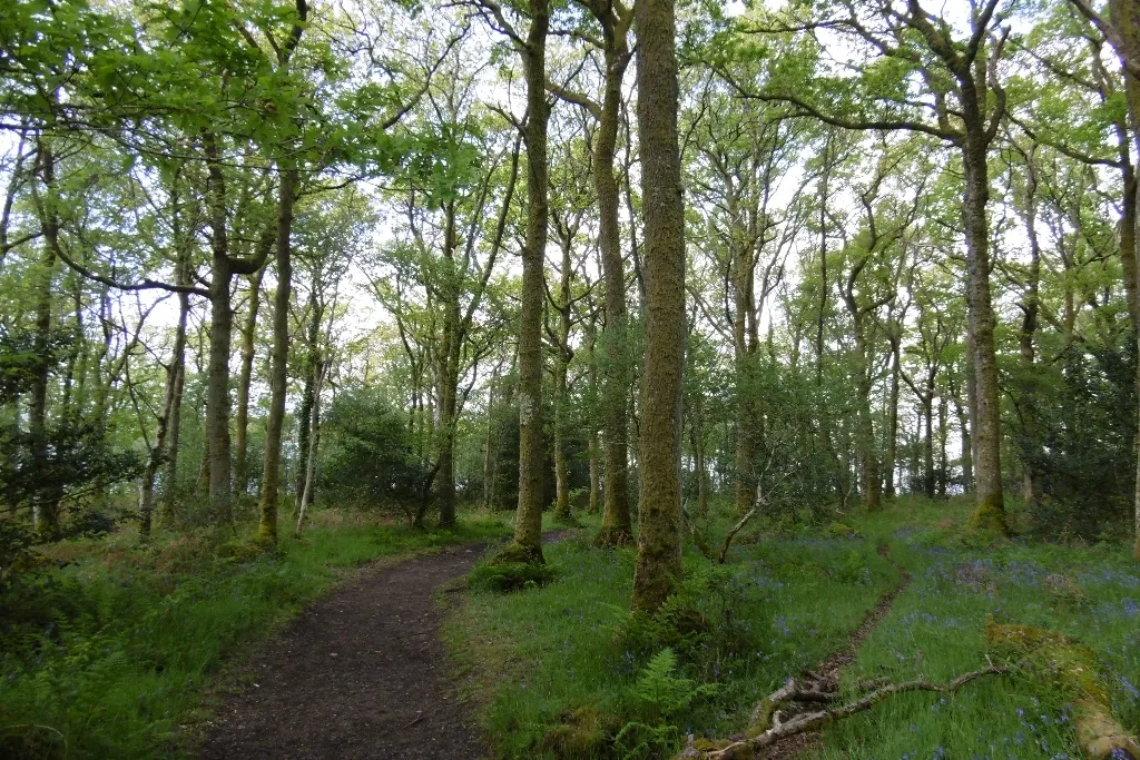 Photo showing: West Highland Way, Creag Mhòr