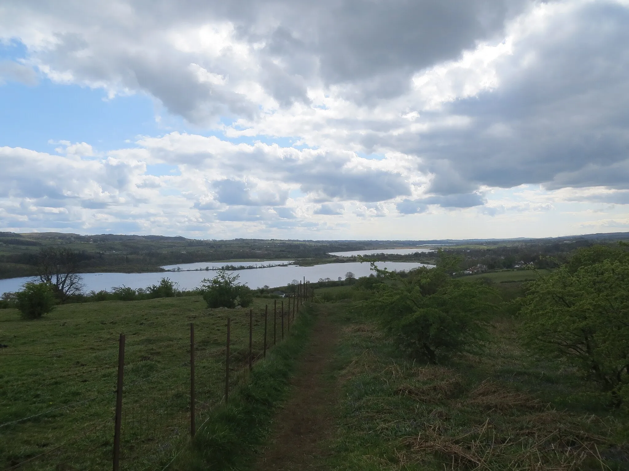 Photo showing: Footpath on Park Hill Castle Semple Country Park