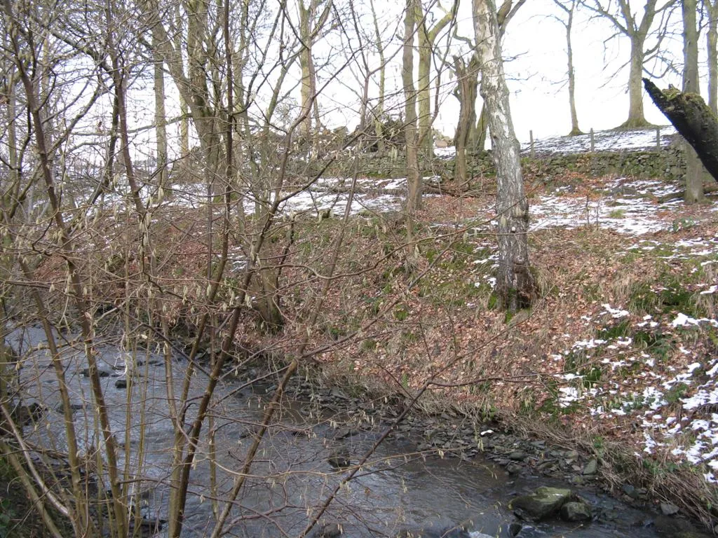 Photo showing: Looking across the Brox Burn at Dechmont With hazel catkins out in the foreground.