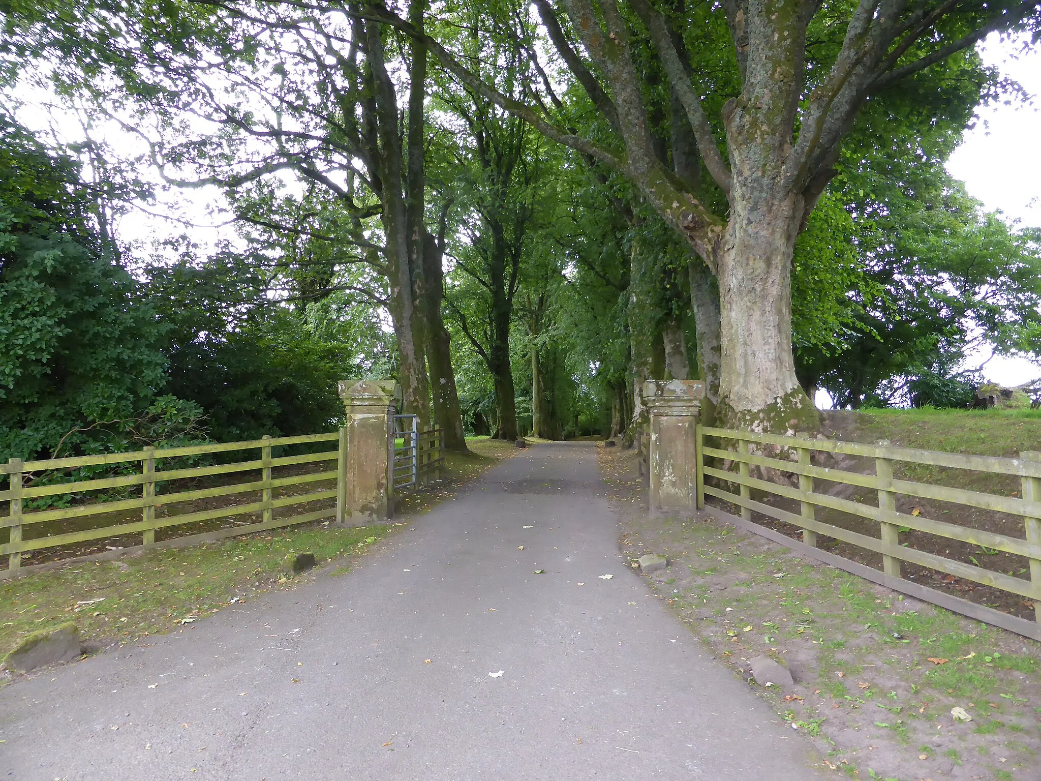 Photo showing: Alle am West Highland Way nach der Glengoyne Distillery.