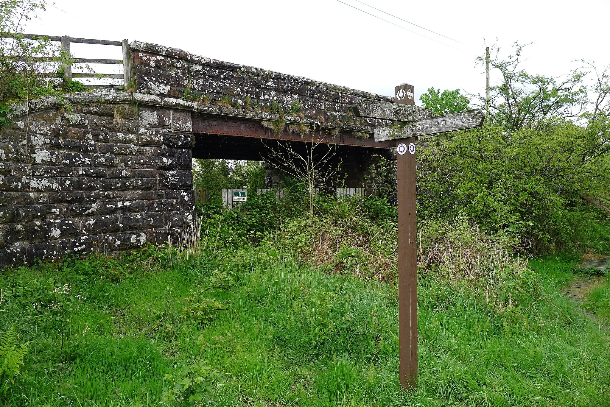 Photo showing: The West Highland Way at Gartness