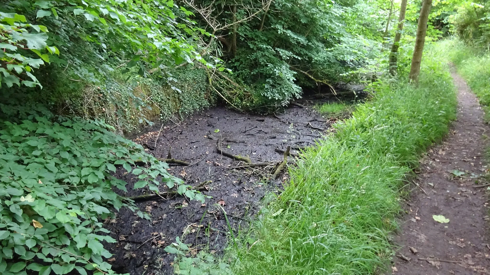 Photo showing: The old Crosslee Mill lade, Bridge of Weir, Renfrewshire. Supplied a mill pond and a wollen mill.