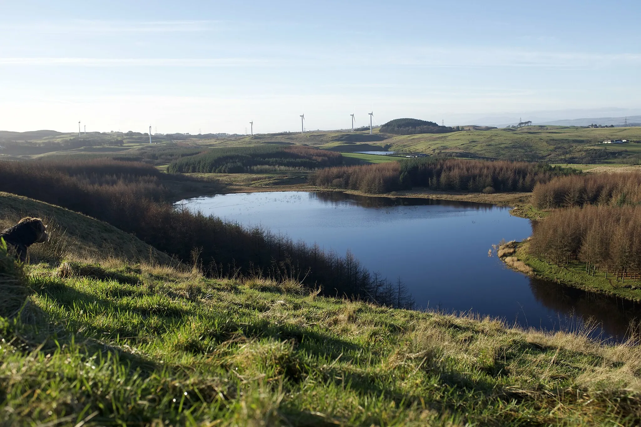 Photo showing: Image of Craighall Reservoir taken from the western slopes of the Neilston Pad