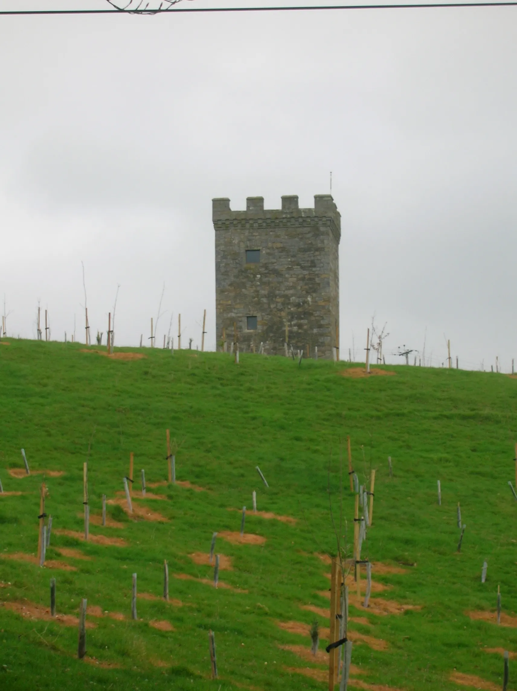 Photo showing: The recently restored folly tower near Caldwell House and Uplawmoor in East Renfrewshire, Scotland. 2007. Rosser 15:04, 21 April 2007 (UTC)