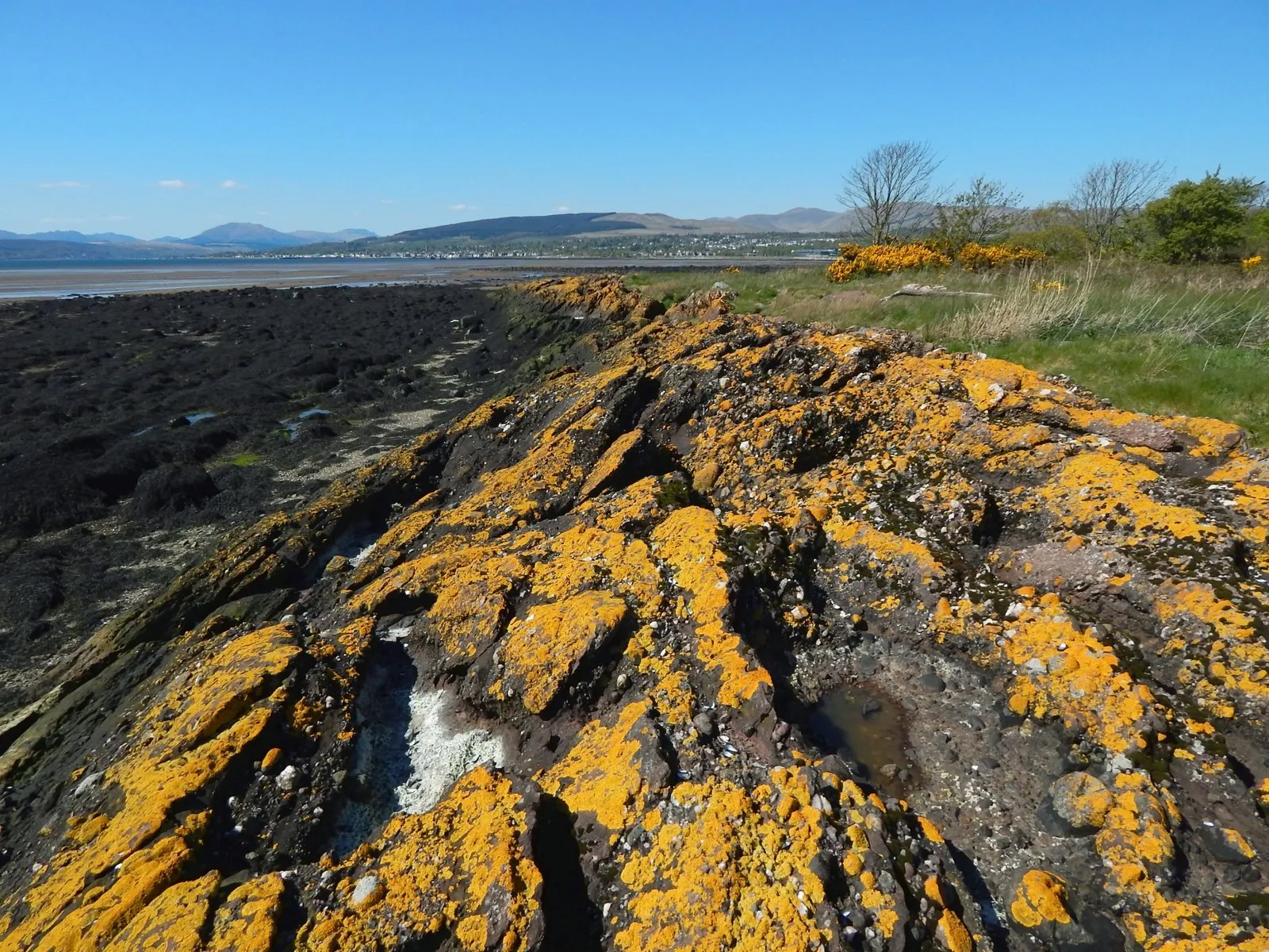 Photo showing: Rocks on the shore at Colgrain