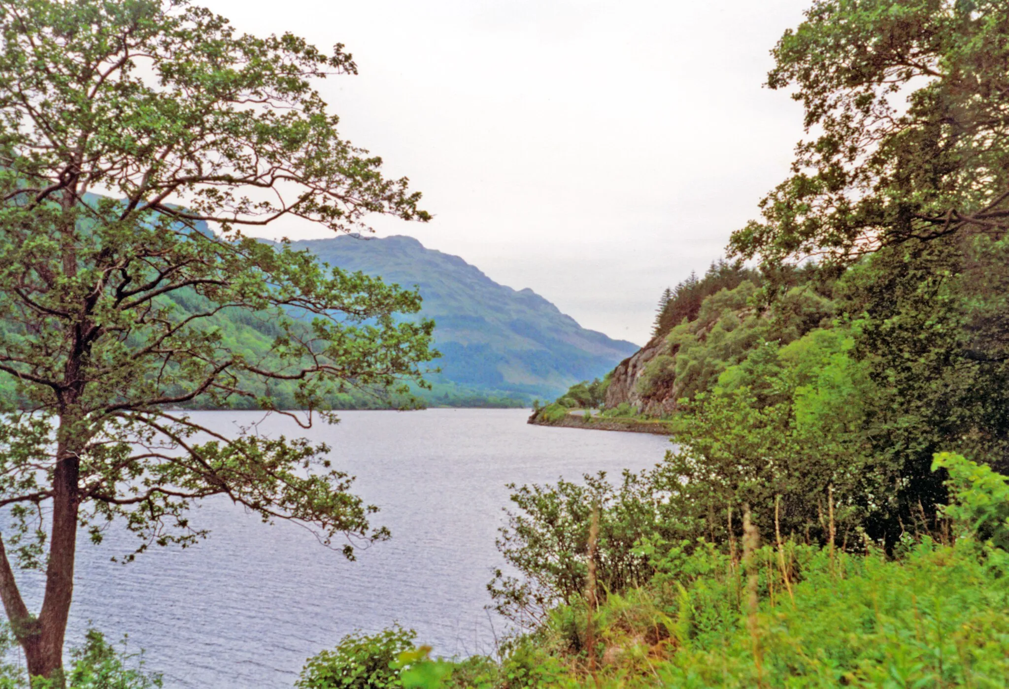 Photo showing: Northward beside Loch Eck near Whistlefield Inn