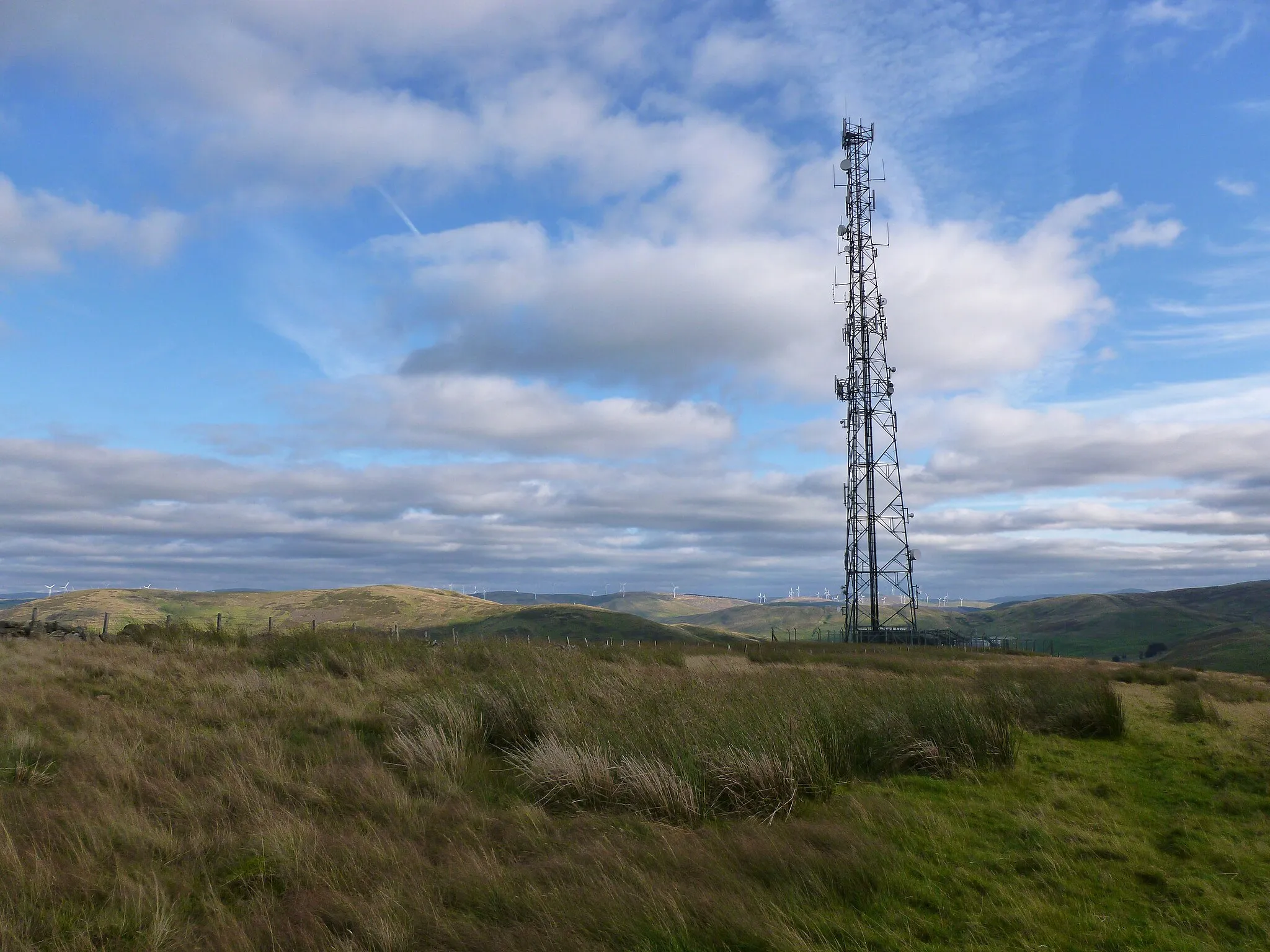 Photo showing: Mast on Craighead Hill