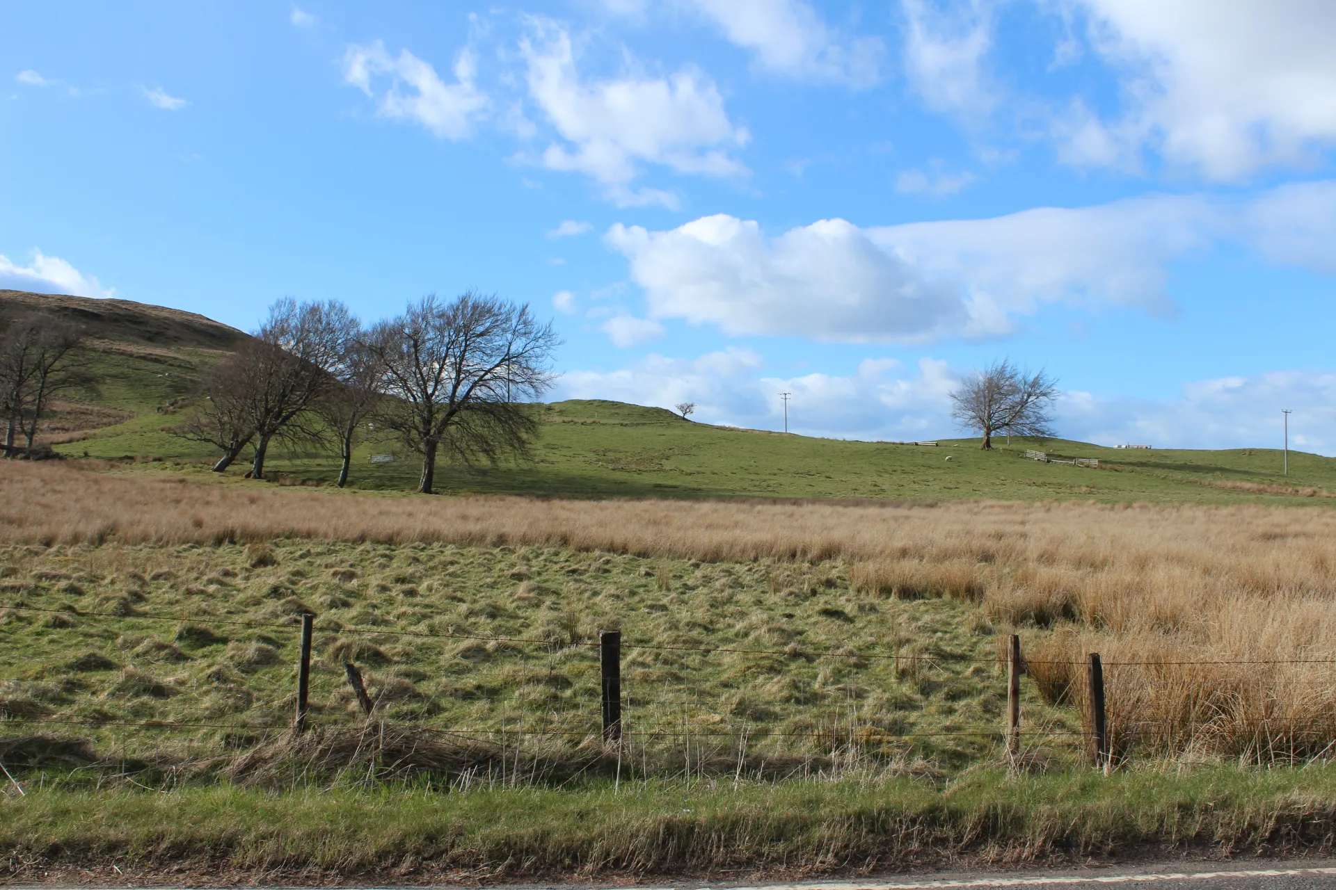Photo showing: Farmland at Dod Hill