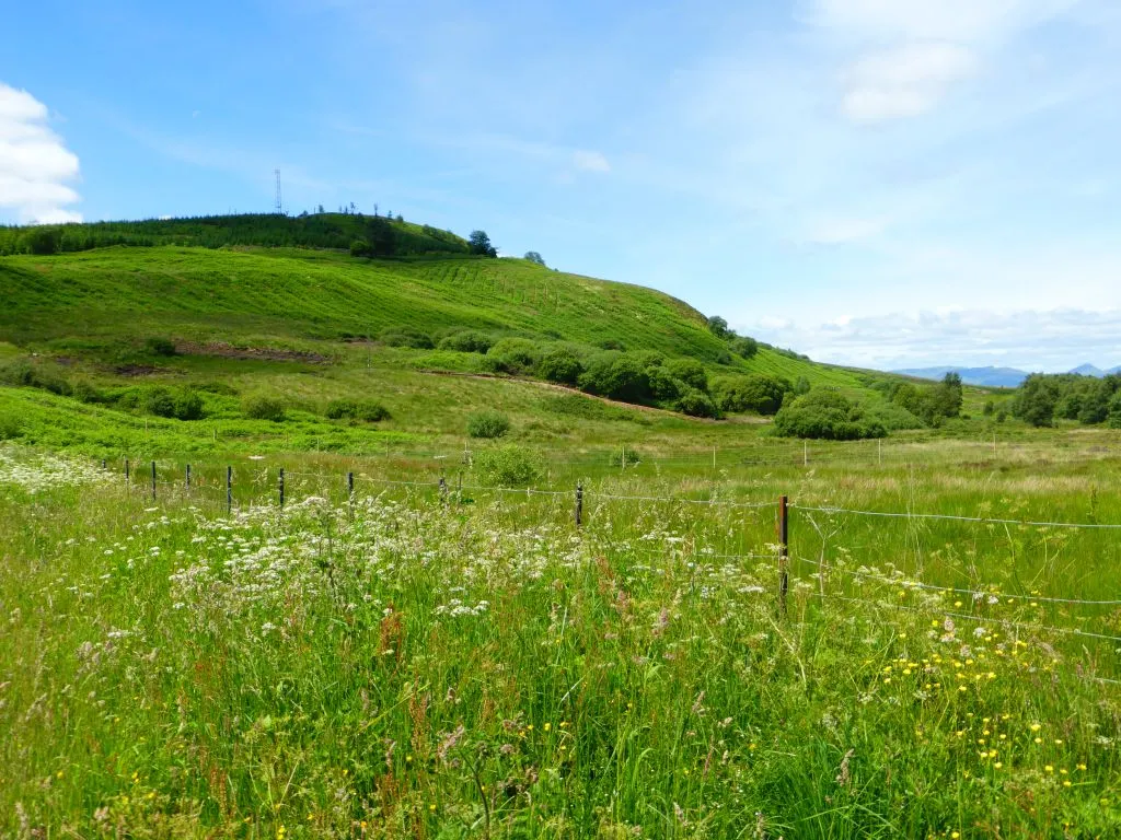 Photo showing: Stockiemuir, boundary fence