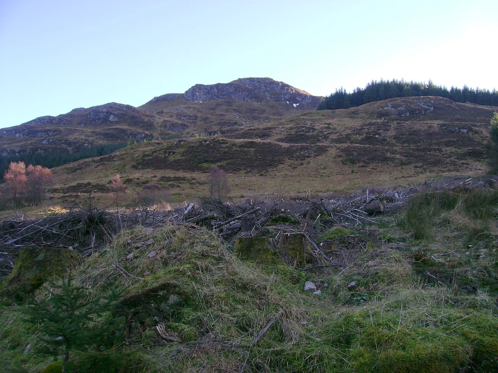Photo showing: Looking towards Beinn Bhreac Looking through an area of recently felled forestry towards Beinn Bhreac, an outlying peak of Beinn a' Mhanaich.
