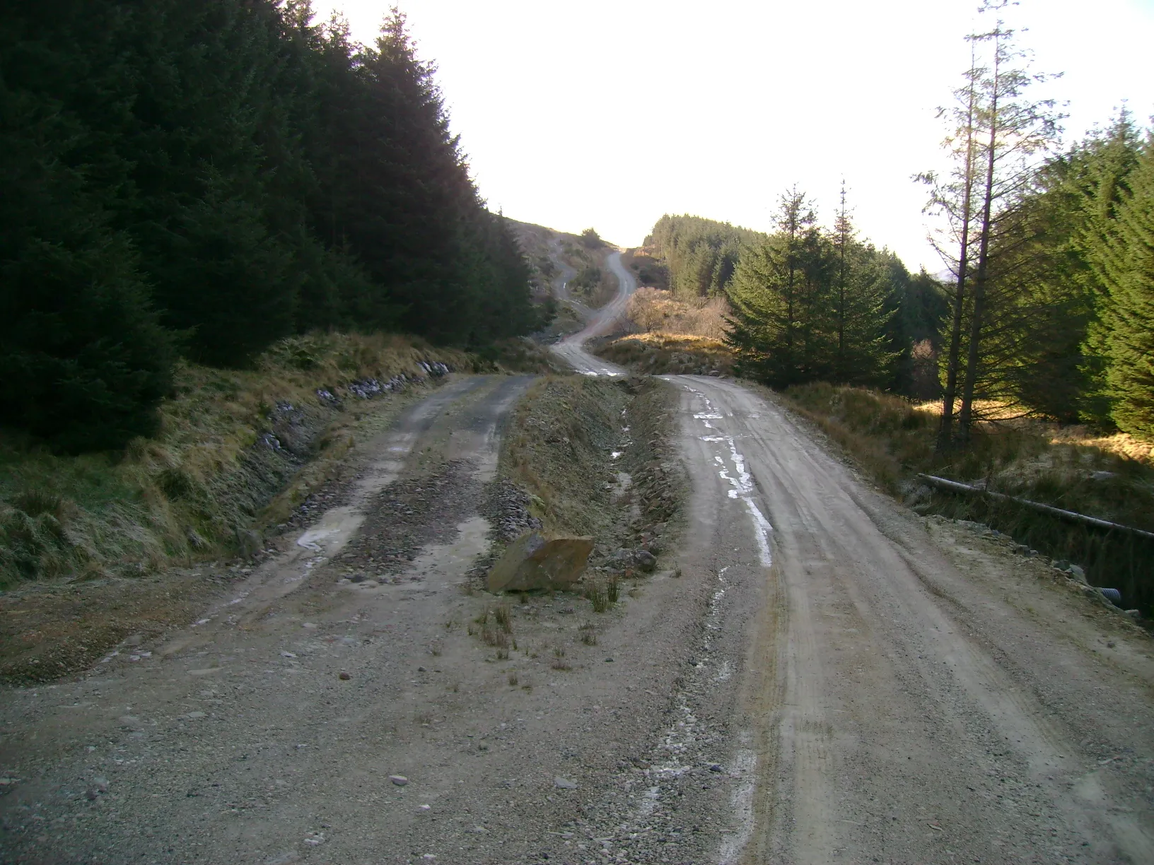 Photo showing: Two lane forestry track This forestry track splits into two for a number of short stretches including one in the foreground and one in the background here.